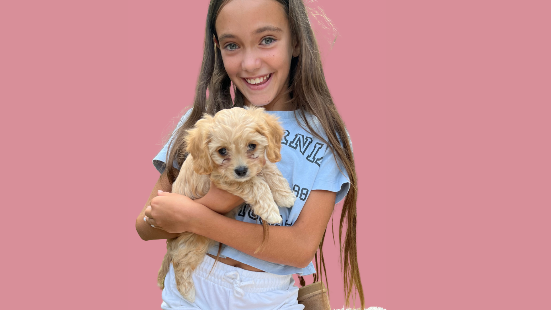 The first day with the new family member. 🐶💖