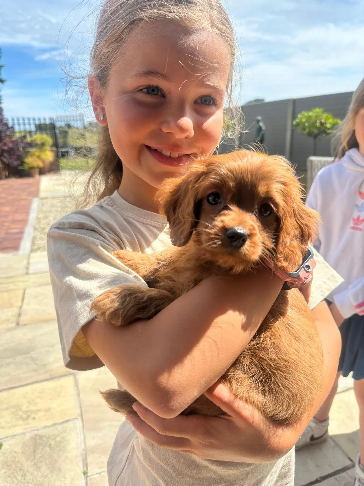 Ein Mädchen hält einen braunen Welpen im Freien bei Sonnenlicht.