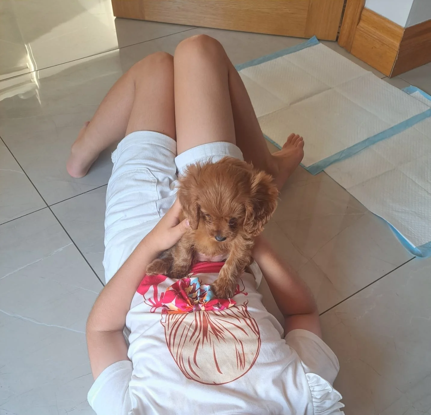 Ein Kind liegt auf dem Boden, hält einen kleinen braunen Welpen auf dem Bauch. Das Kind trägt ein weißes T-Shirt mit einem pinken und blauen Design und weiße Shorts. Der Boden ist mit großen weißen Fliesen bedeckt, und im Hintergrund steht ein Holzsc