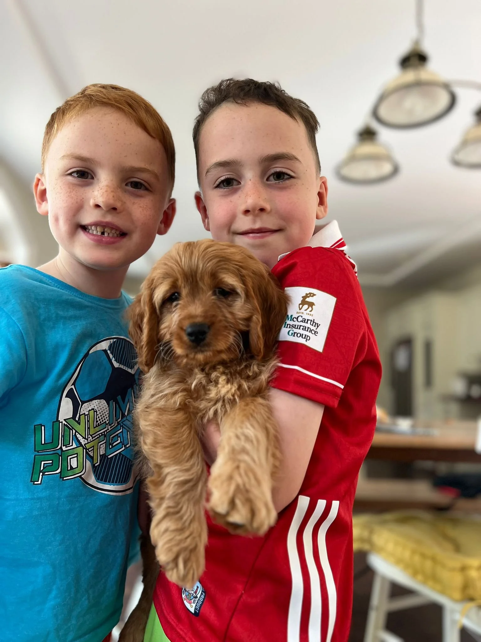 Zwei Jungen halten einen kleinen braunen Welpen in den Armen. Sie stehen in einem Raum mit weißen Wänden und Deckenleuchten.