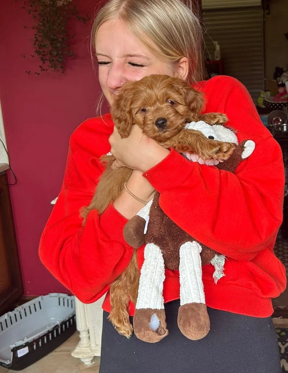 Eine junge Frau in einem roten Pullover hält einen kleinen braunen Welpen. Sie umarmt ihn liebevoll und lächelt. Im Hintergrund ist eine rote Wand und einige Teelichter zu sehen.