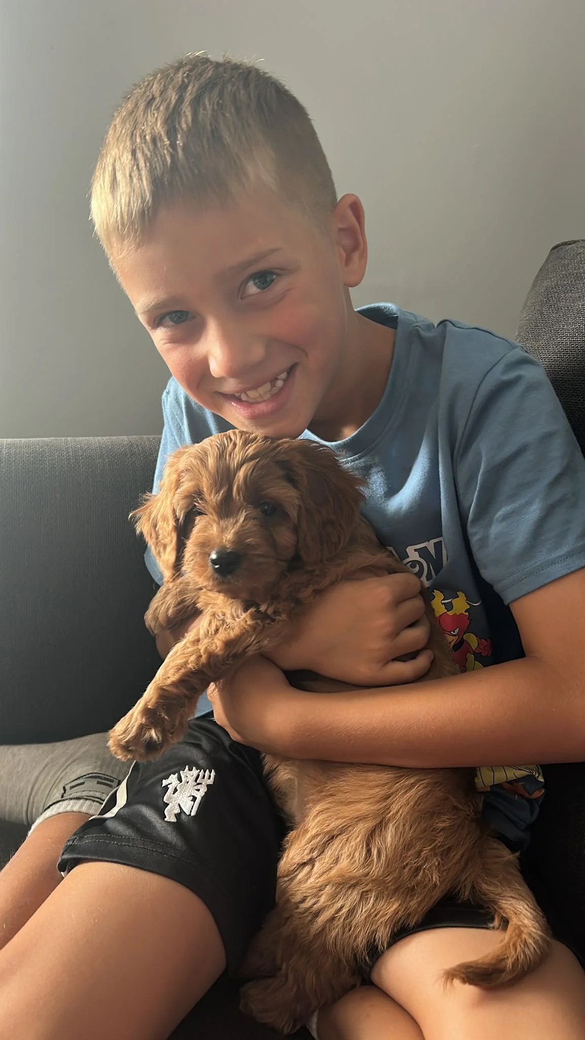 Ein Junge mit kurzem blondem Haar hält ein braunes Welpen in den Armen und lächelt in die Kamera.