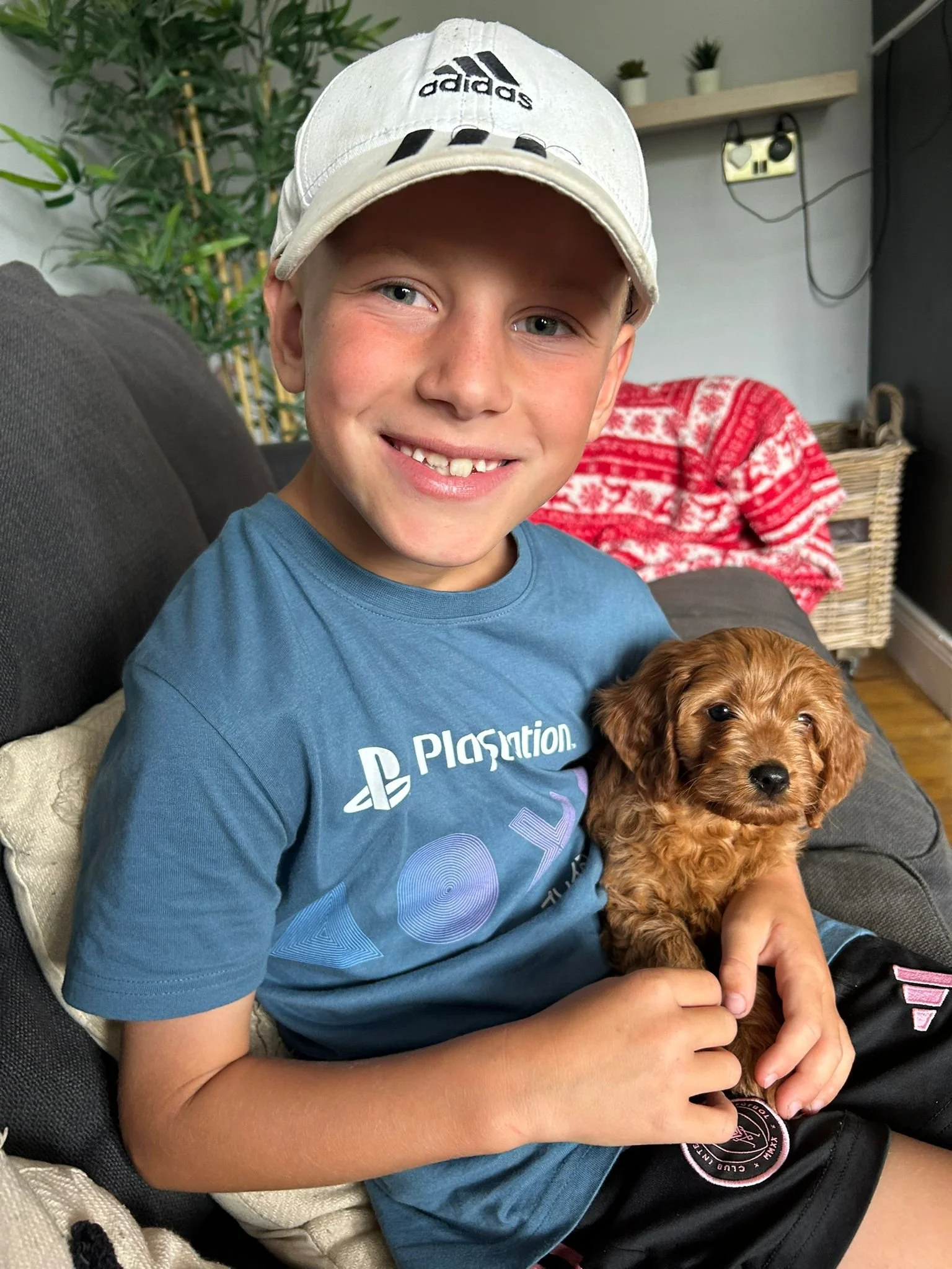 Ein fröhlicher Junge sitzt auf einem Sofa, trägt eine blaue PlayStation T-Shirt und eine weiße Adidas Cap, während er ein braunes Welpenhündchen hält.