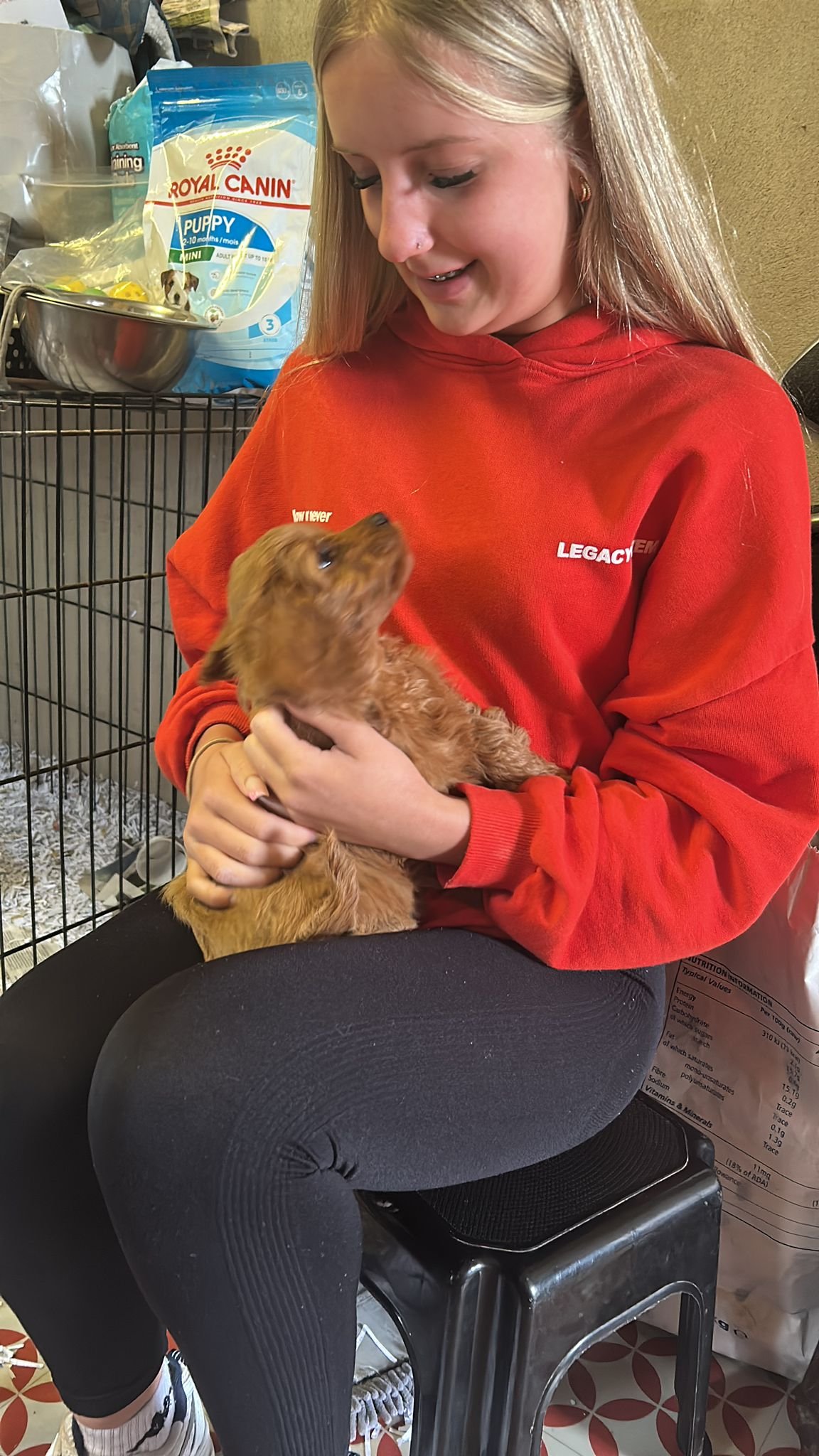 Ein Mädchen in rotem Hoodie hält ein kleines braunes Hundewelpen in den Armen und schaut liebevoll auf ihn.