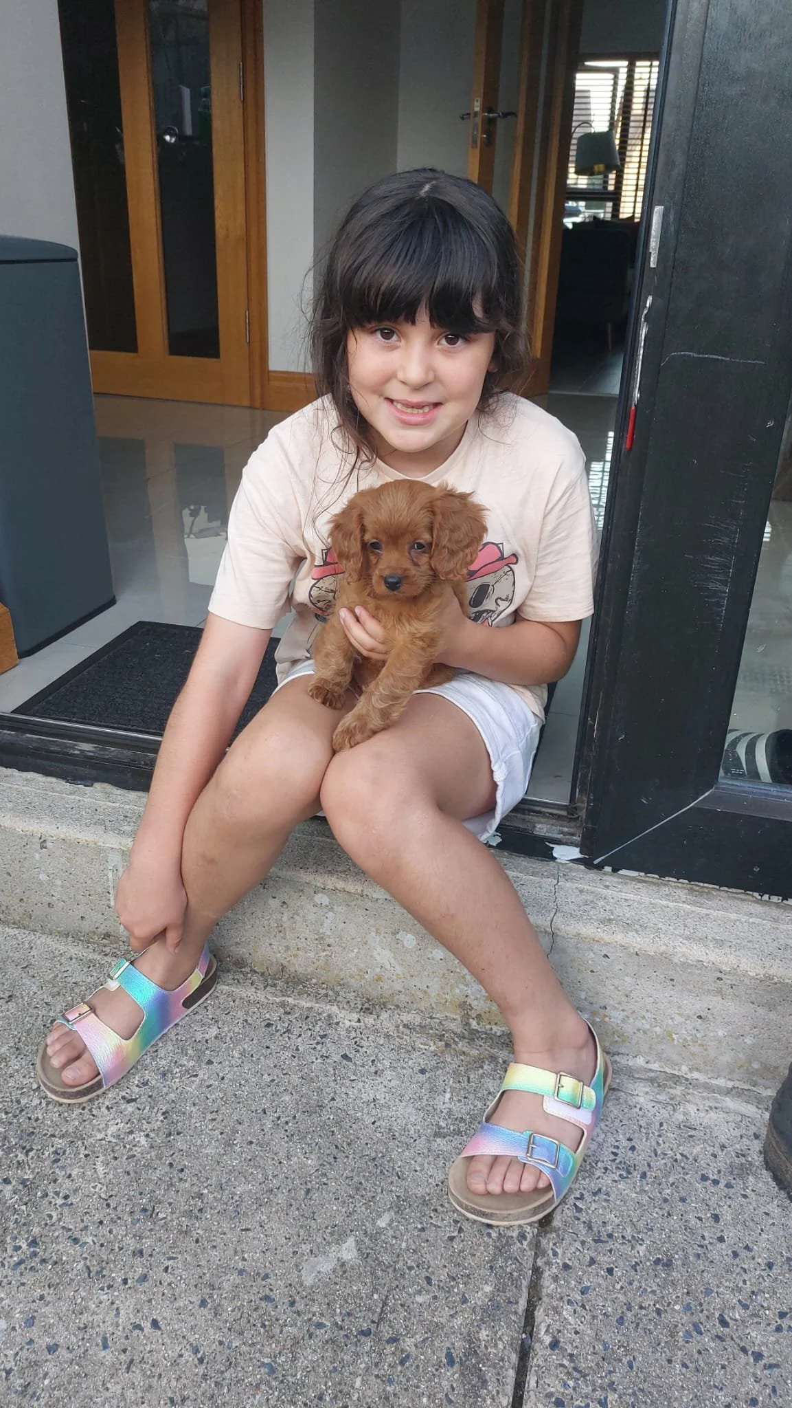 Ein Mädchen sitzt auf den Stufen vor einem Haus und hält einen kleinen braunen Welpen in den Händen.