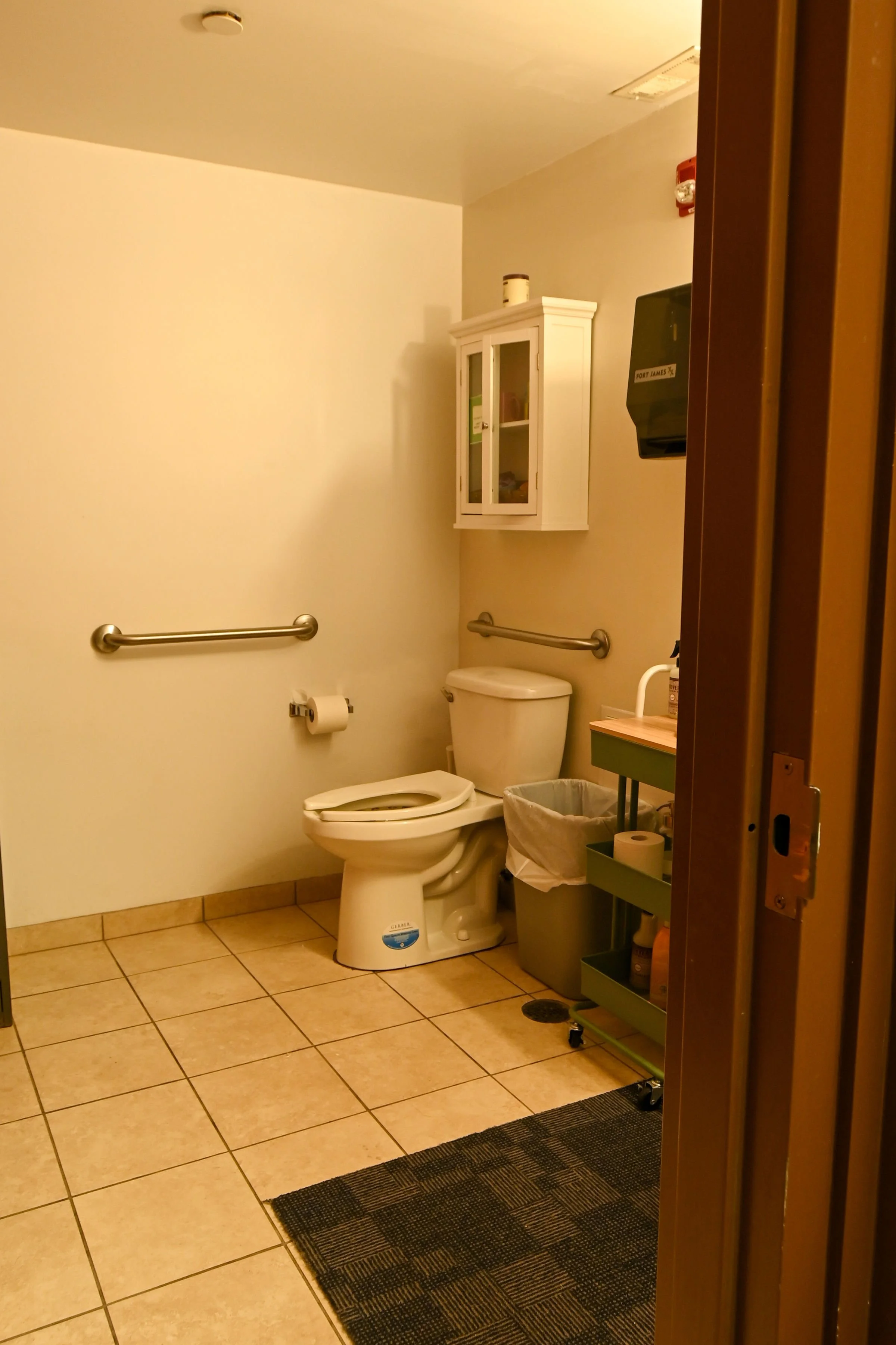 RESTROOM: Handicap accessible restroom with toilet support bars, open trash can, washable flannel hand towels, roll-up sink.