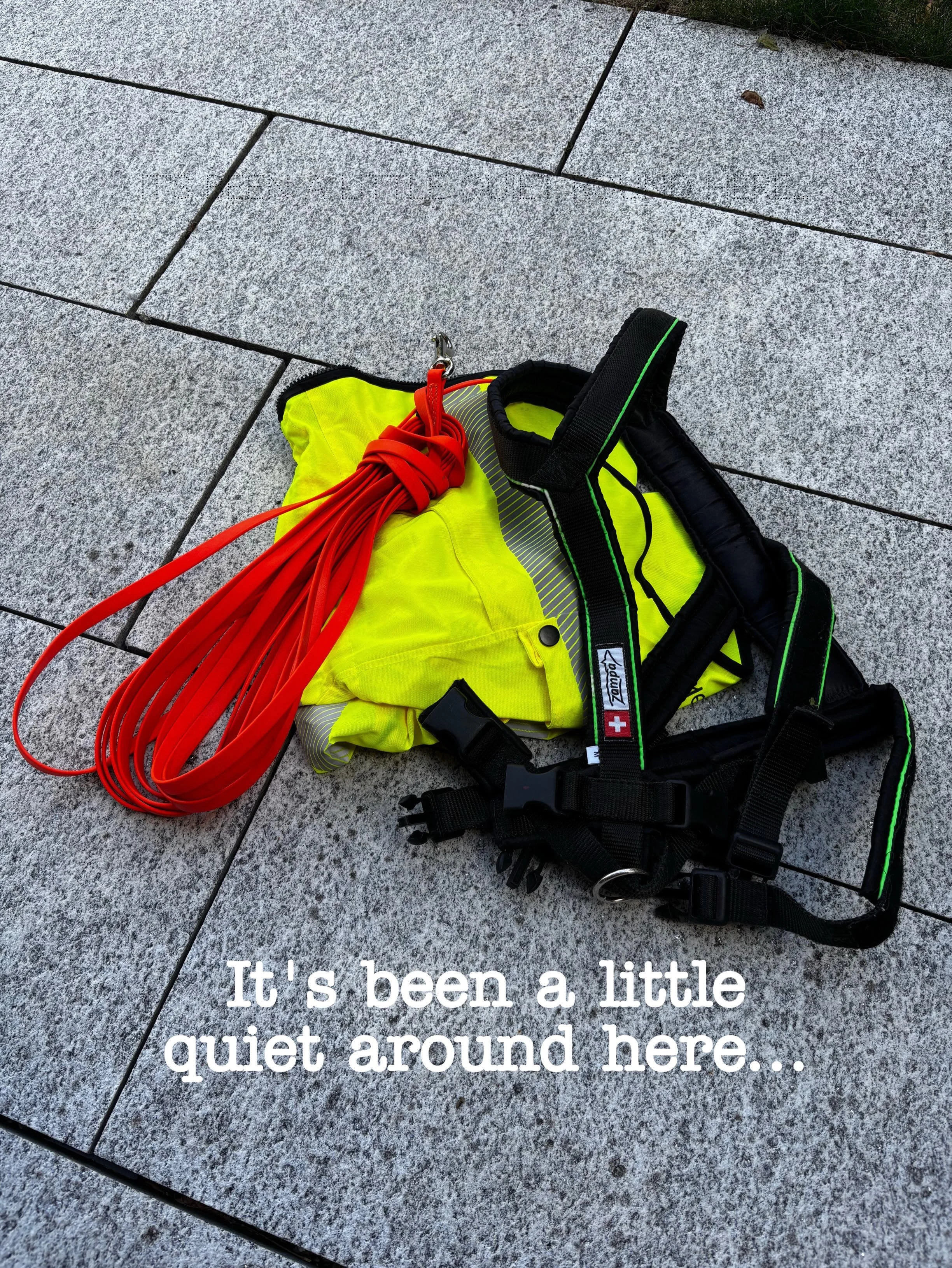 Quiet doesn&rsquo;t always mean that nothing is happening.

Behind the scenes, we&rsquo;re preparing for a big change and slowly winding down our chapter here in Switzerland.

We&rsquo;re not quite ready to reveal where the next trail will lead&mdash