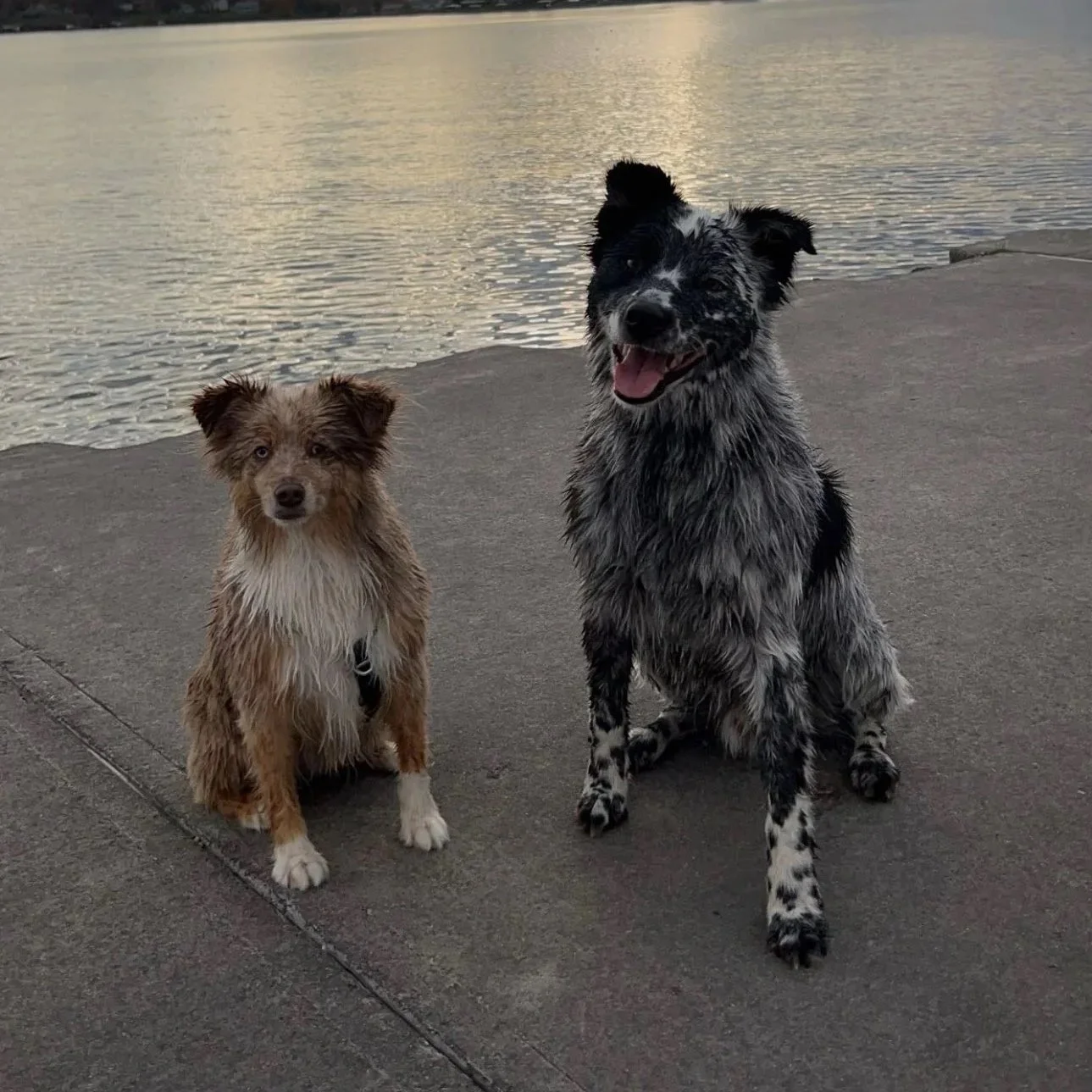 Day Camps (Scheduled 8am-6pm)