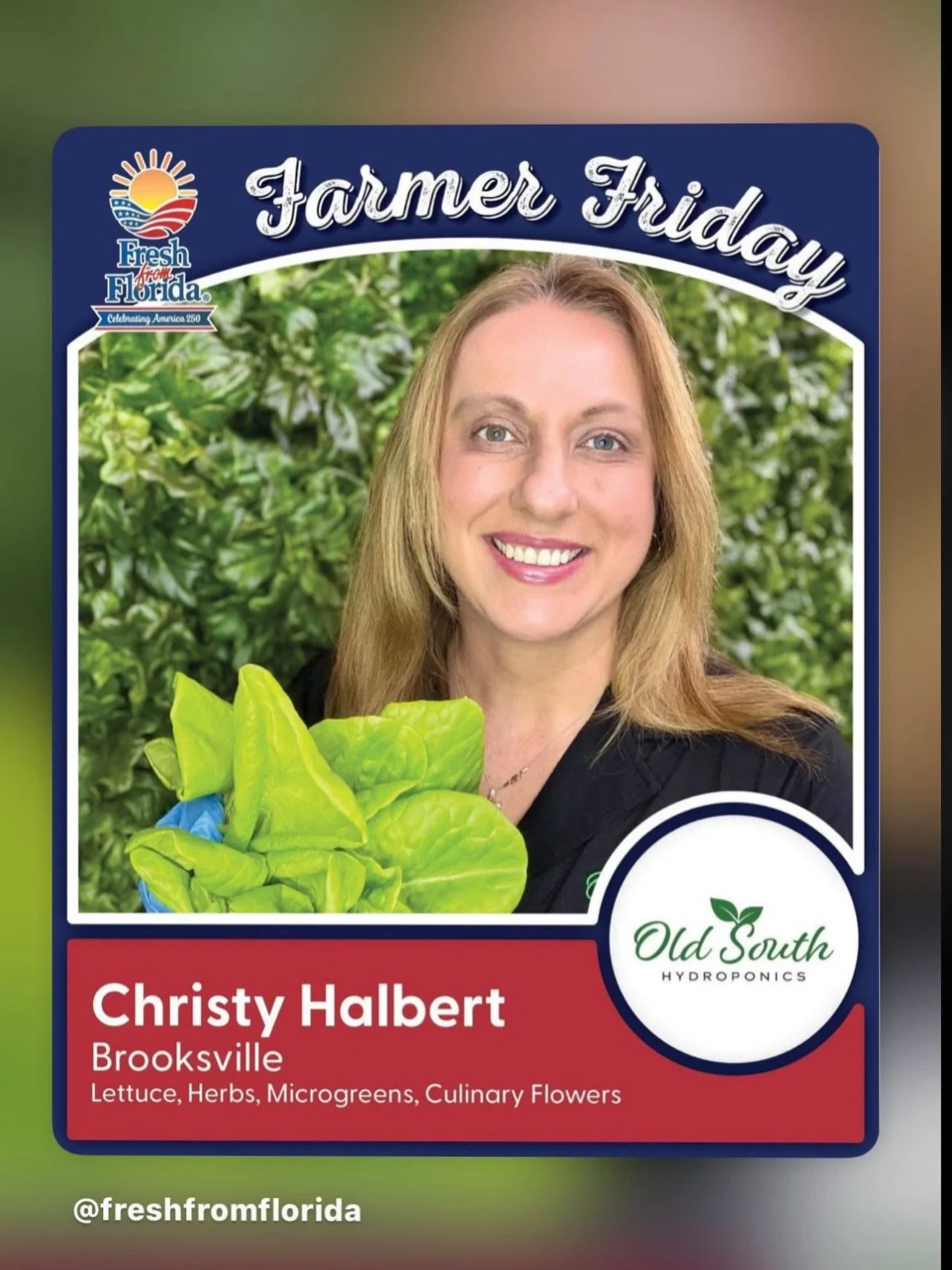 This #FarmerFriday, we&rsquo;re visiting Brooksville, Florida to feature Old South Hydroponics, a Fresh From Florida member growing lettuce, herbs, microgreens, and culinary flowers. Owned and operated by Christy Halbert, Old South Hydroponics uses h