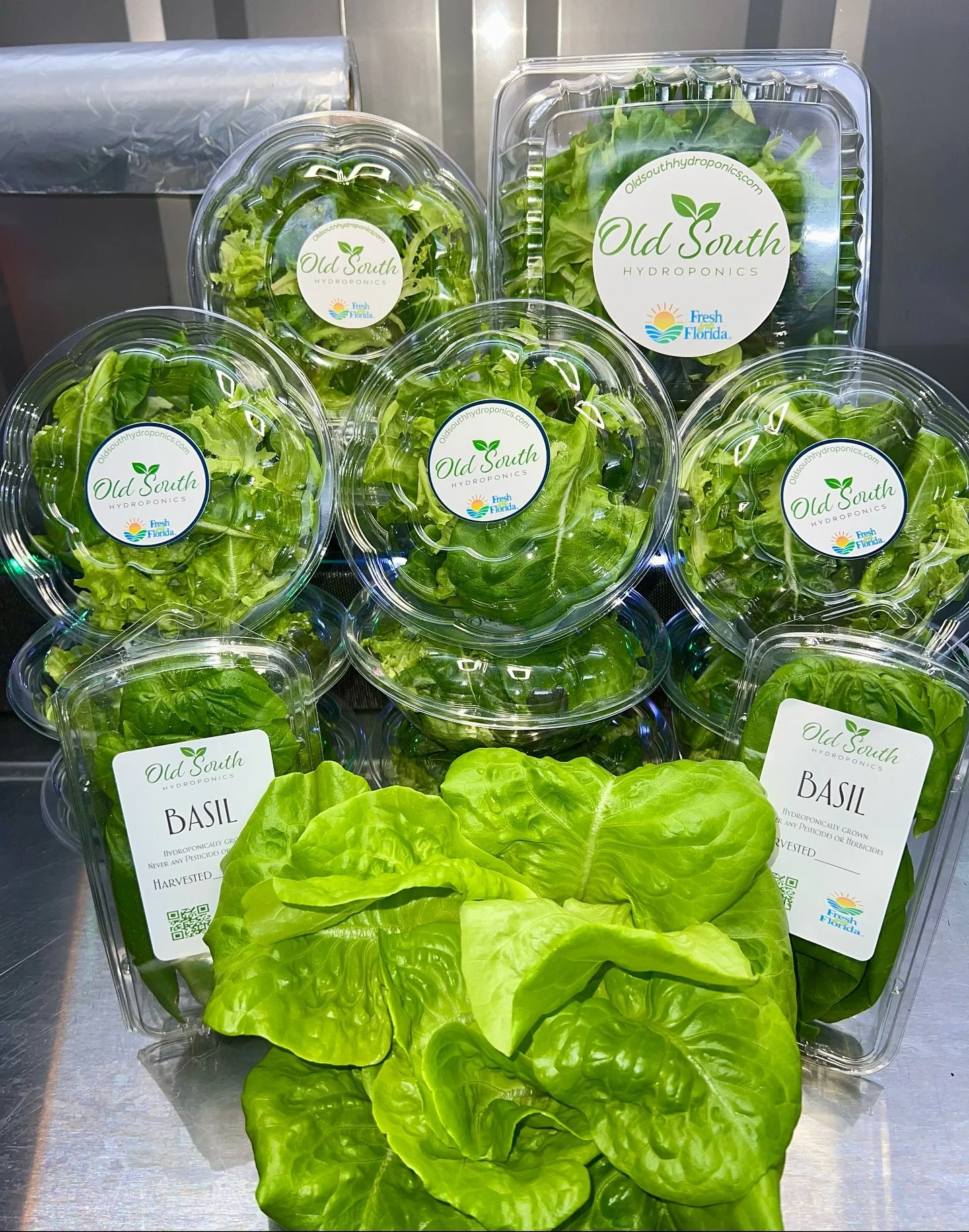 Get ready! Your orders are being harvested and packaged! Don&rsquo;t forget to place yours! 😀🥬🌿 #eatlocalgrown #farm2table #freshfromflorida #dadecity #brooksville #wesleychapelflorida #hydroponicfarming