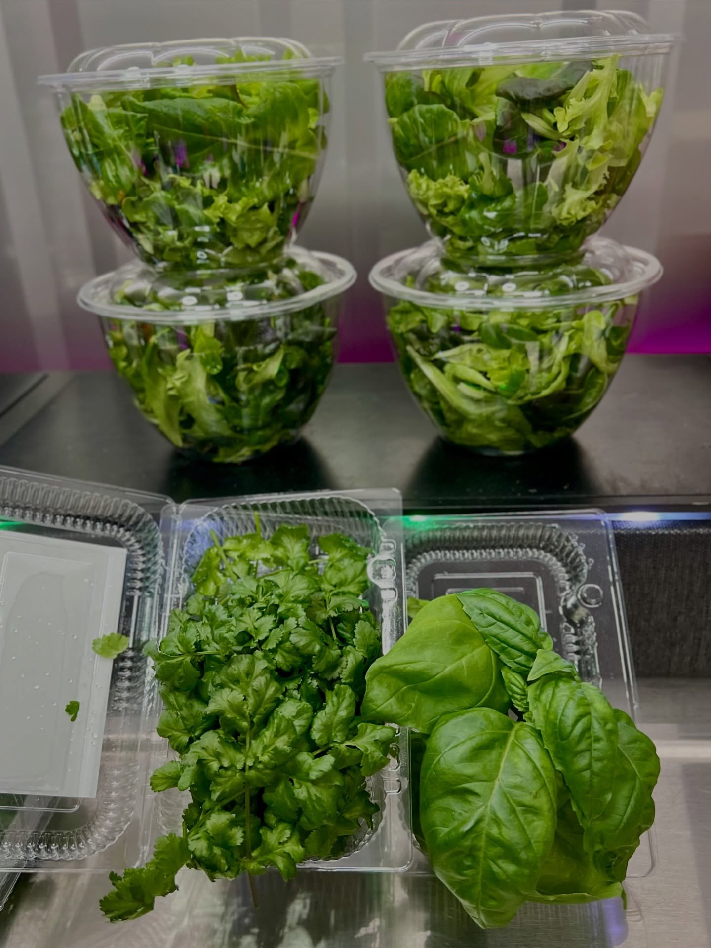 &ldquo;Your Easter basket is overflowing.
Your fridge&hellip; not so much.&rdquo;

If the peeps have taken over and the veggies have gone missing, we can help.
Fresh, crisp, pesticide‑free greens grown right here in Brooksville &mdash; ready to bring