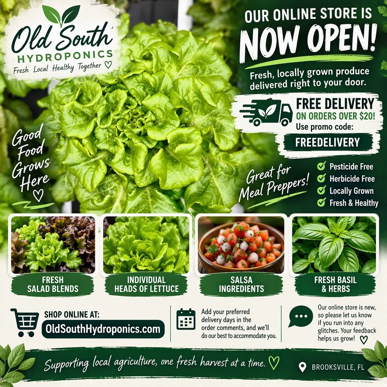 From our farm to your table. Fresh, crisp, locally grown lettuce is waiting for you. Shop now and enjoy free delivery on orders over $20 with code FREEDELIVERY!