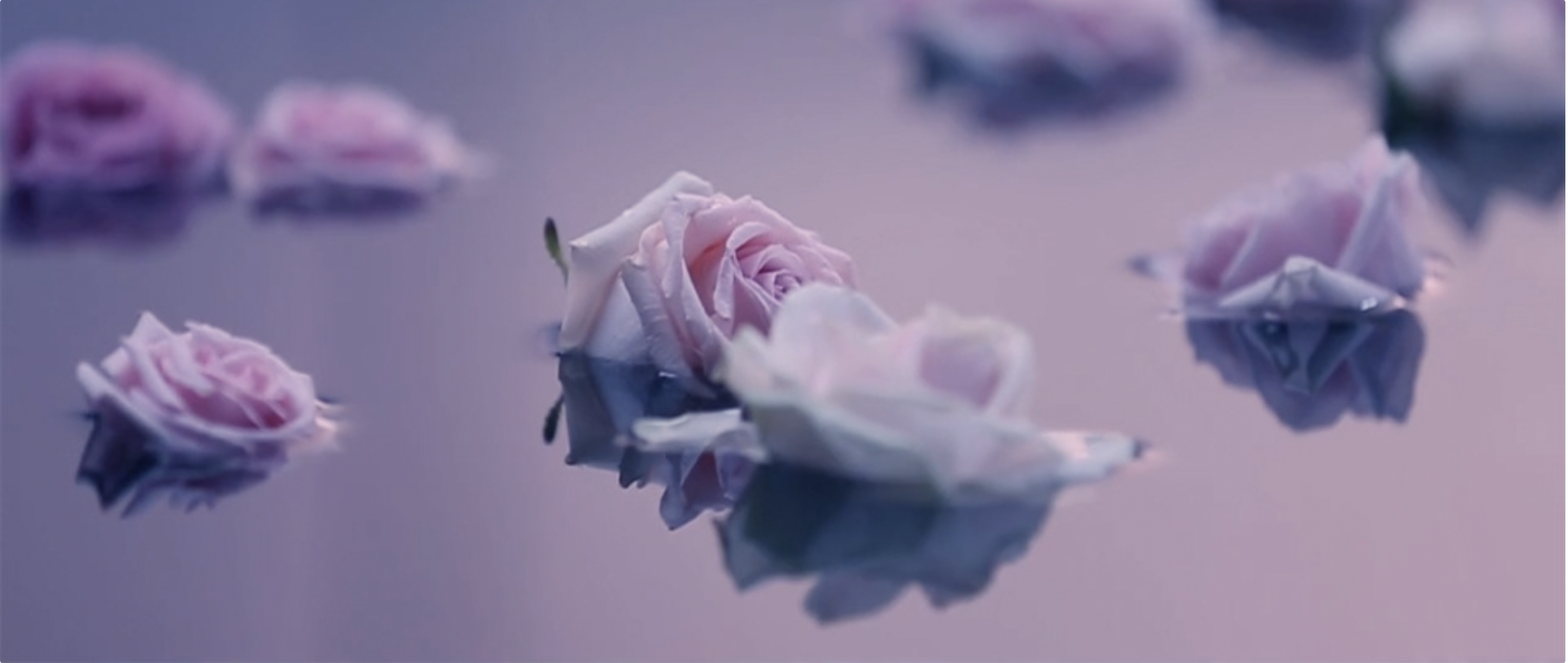 Capture d’écran 2025-02-22 à 19.05.36.png