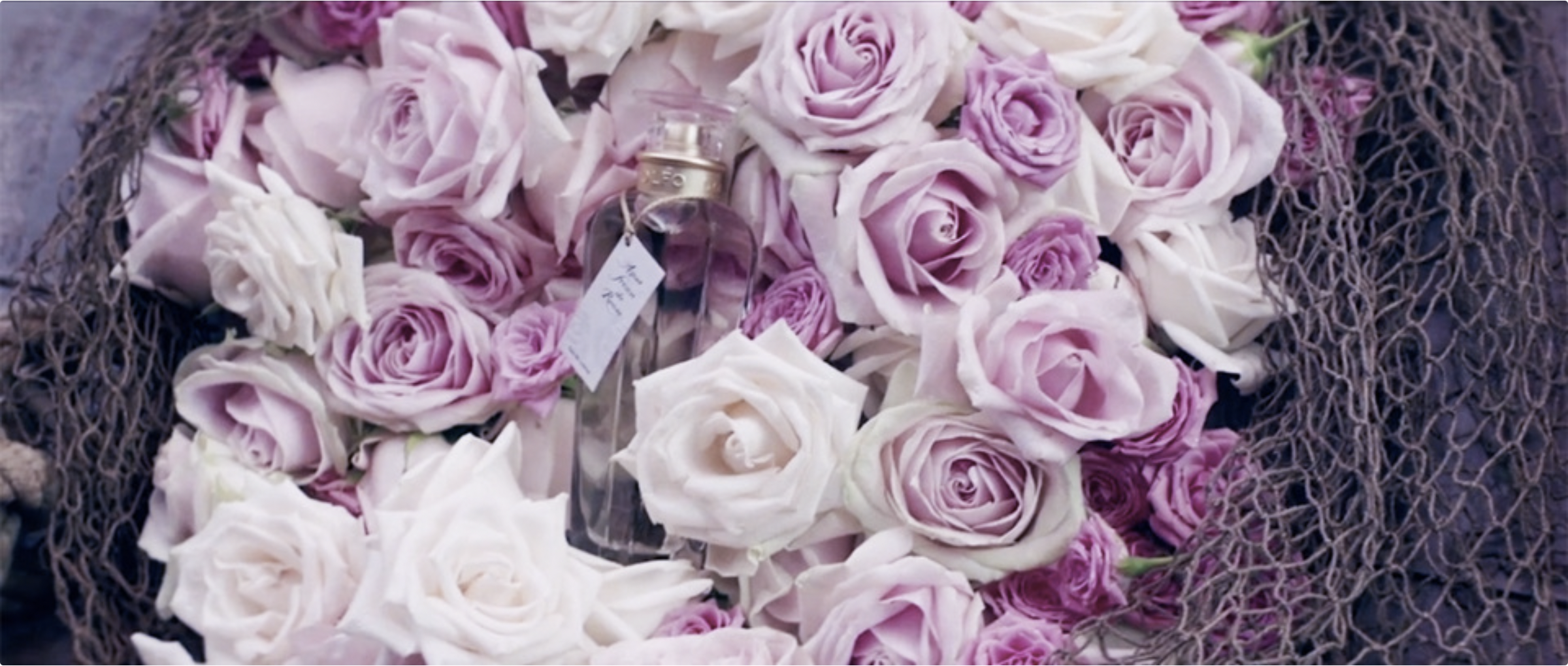 Capture d’écran 2025-02-22 à 19.05.22.png