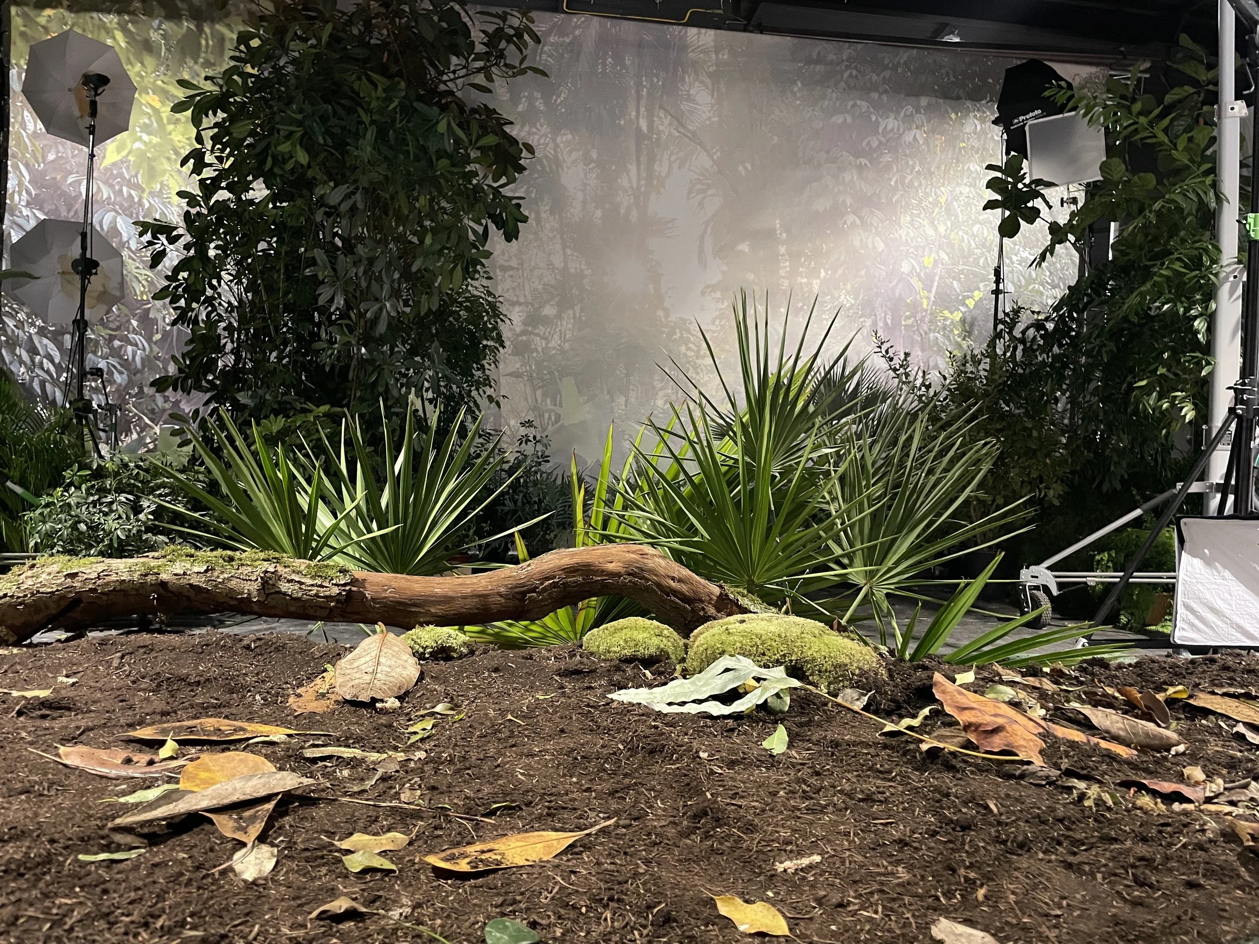 IMG_2677 - copie.jpg