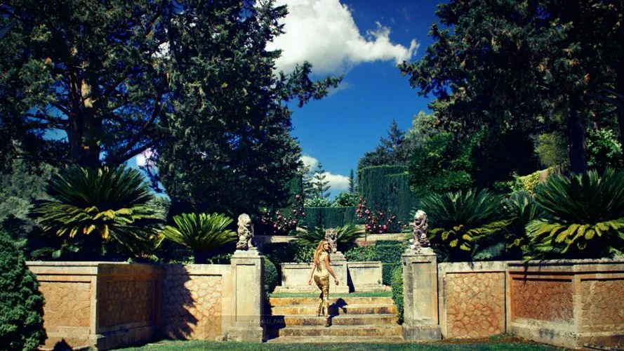 images cavalli 10 .jpg