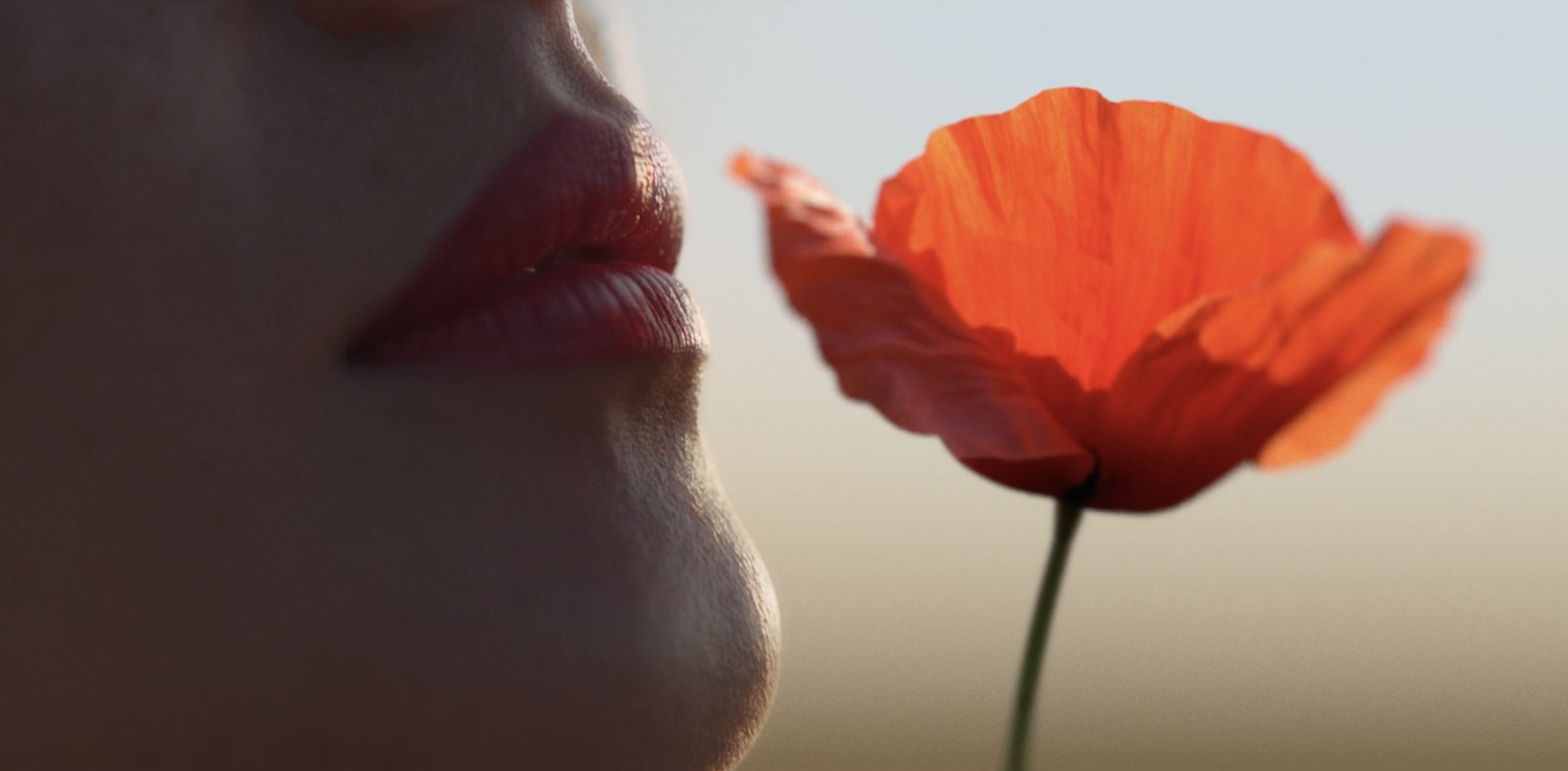 Capture d’écran 2022-08-31 à 15.20.37.png