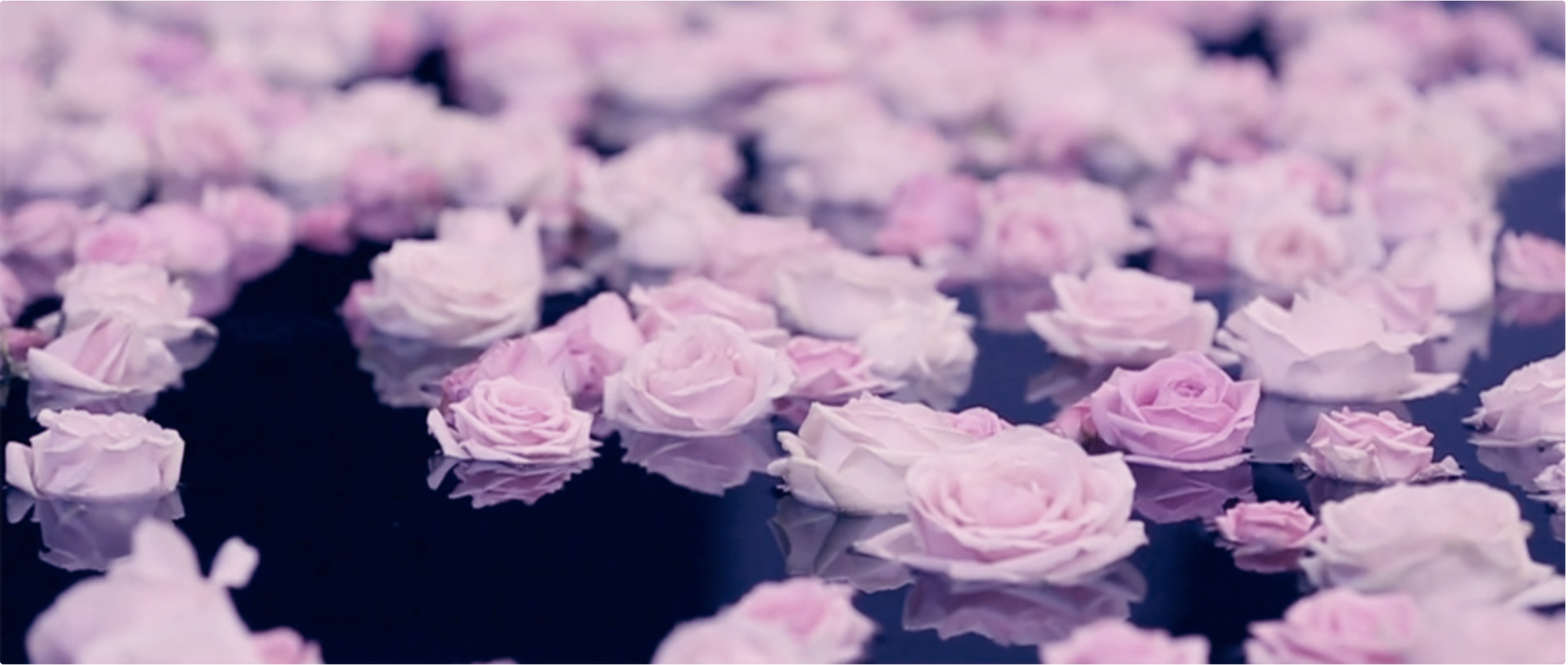 Capture d’écran 2025-02-22 à 19.05.47.png