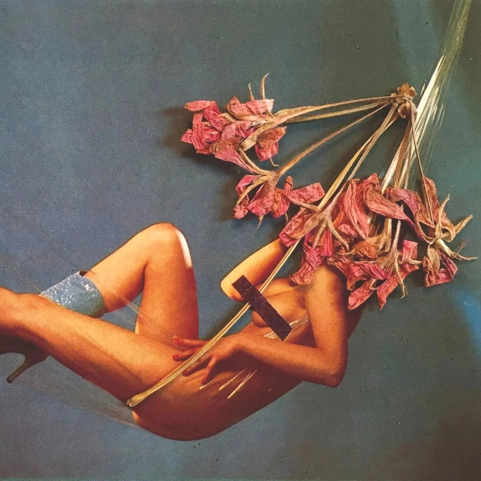 Beauty cannot be censored