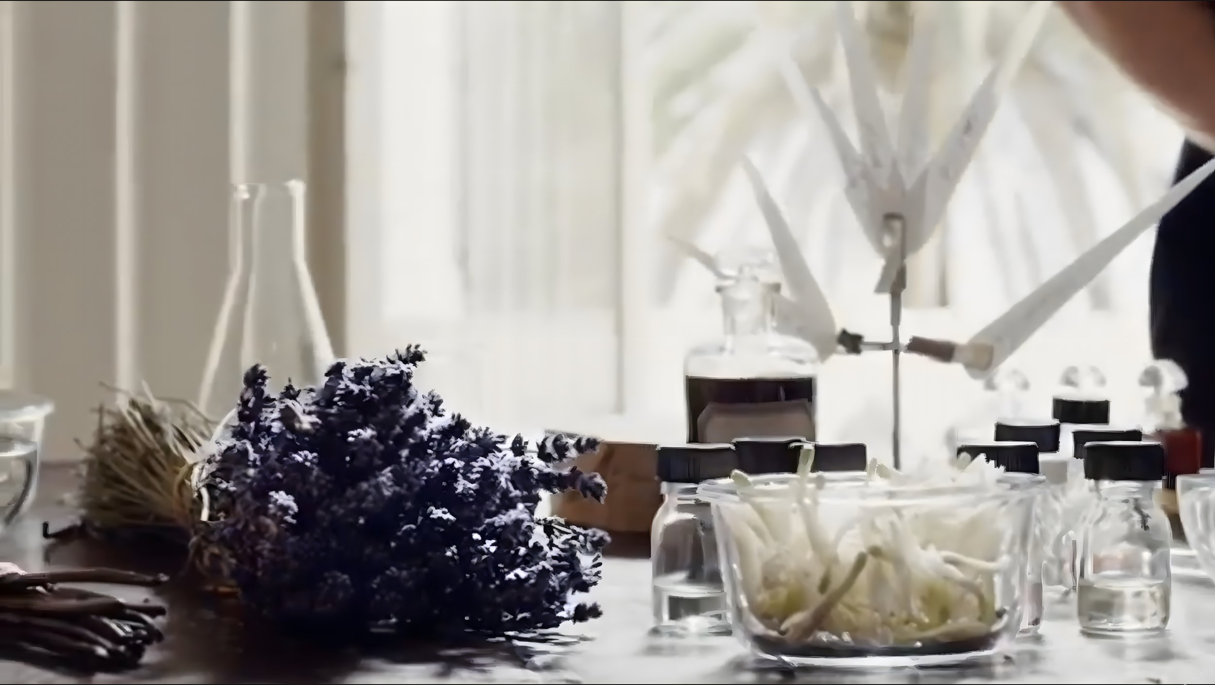 Capture d’écran 2026-01-26 à 10.51.19_upscayl_2x_upscayl-standard-4x - copie.jpg