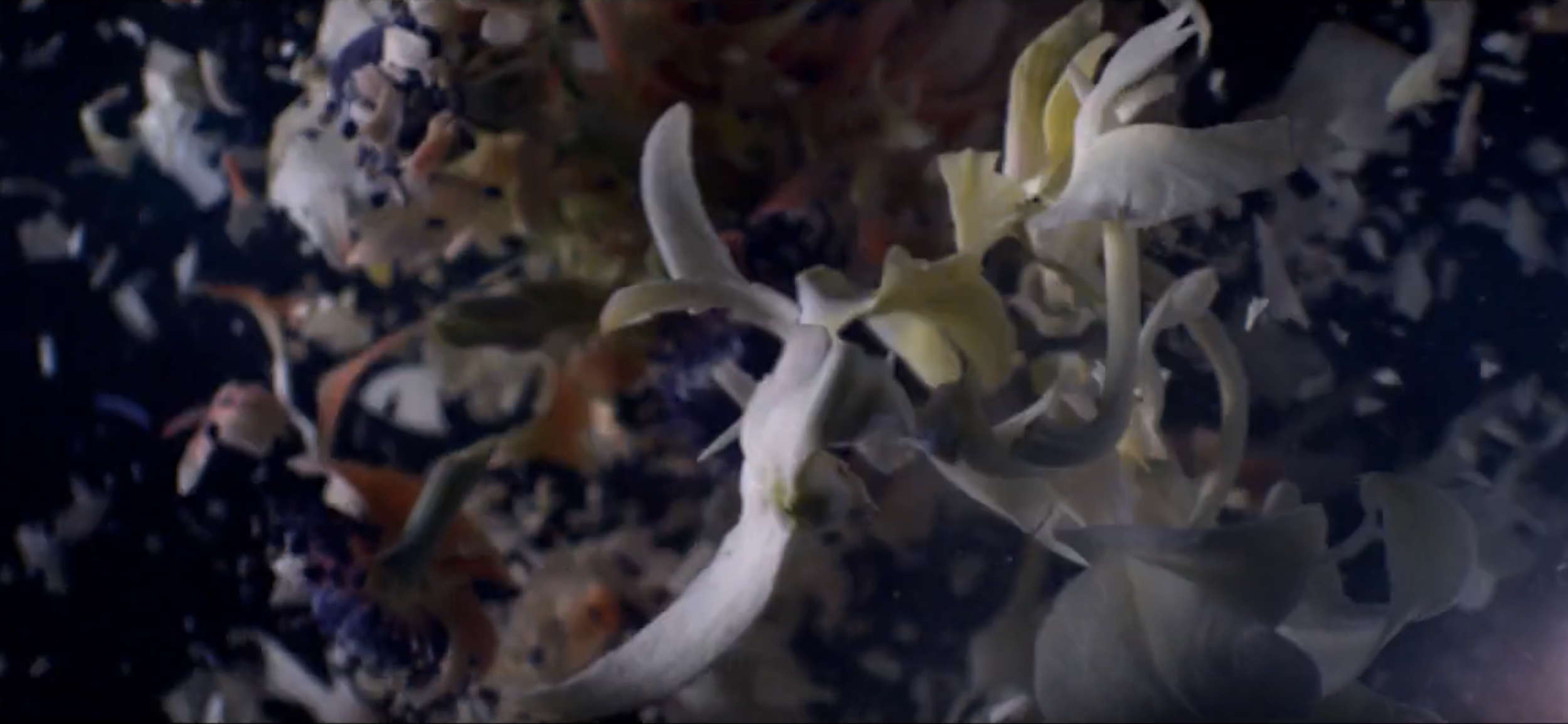 Capture d’écran 2026-01-27 à 09.45.13.png