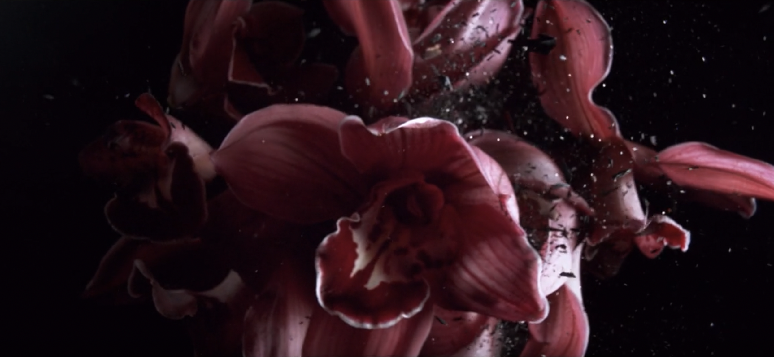 Capture d’écran 2026-01-27 à 09.38.31.png