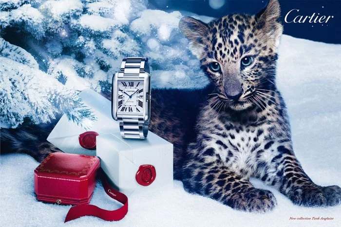 cartier_winter-tale_14.jpg