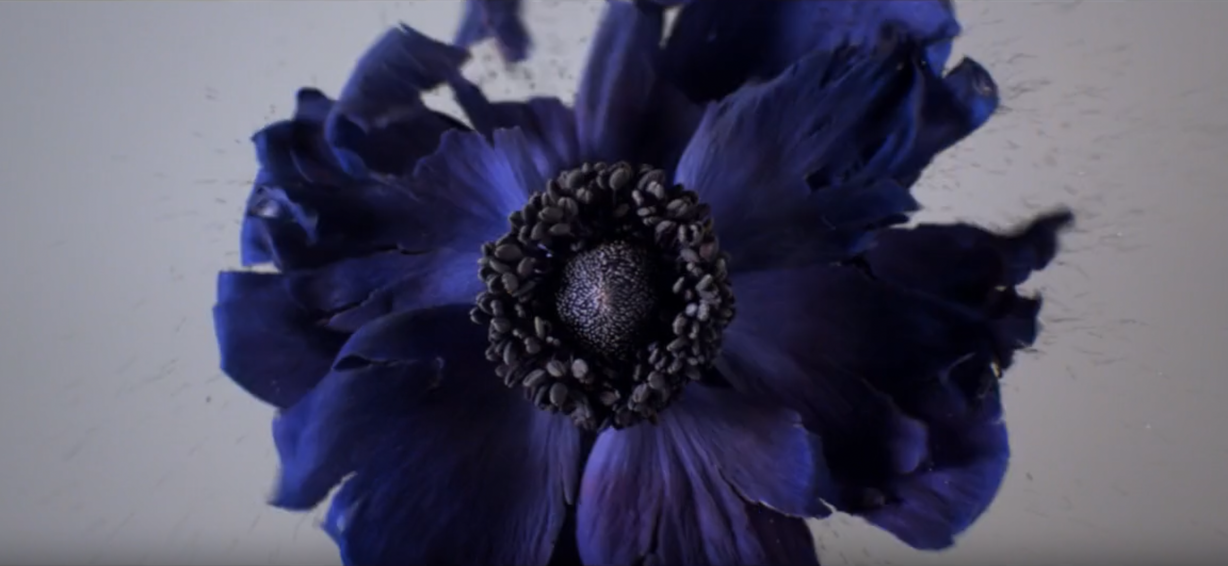 Capture d’écran 2026-01-27 à 09.44.39.png