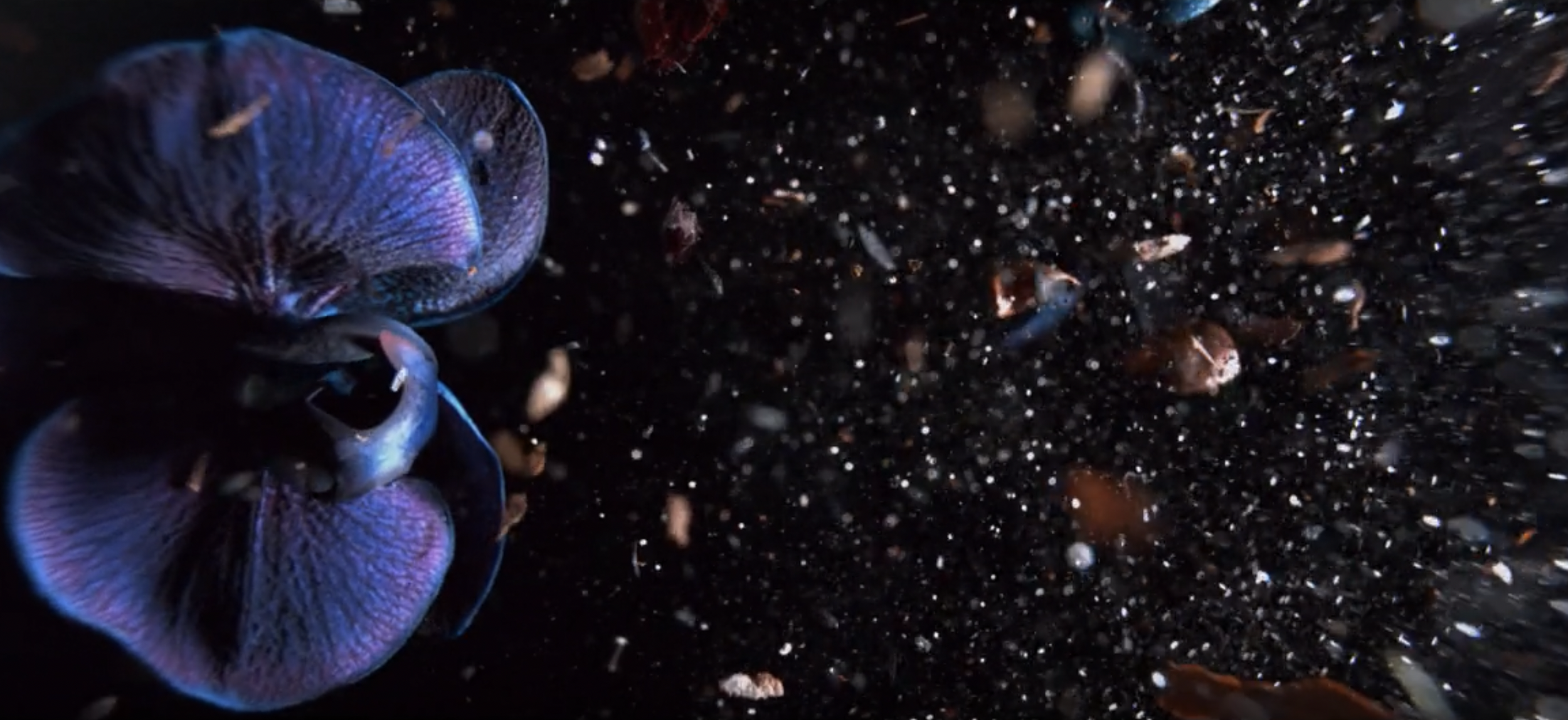 Capture d’écran 2026-01-27 à 09.42.51.png