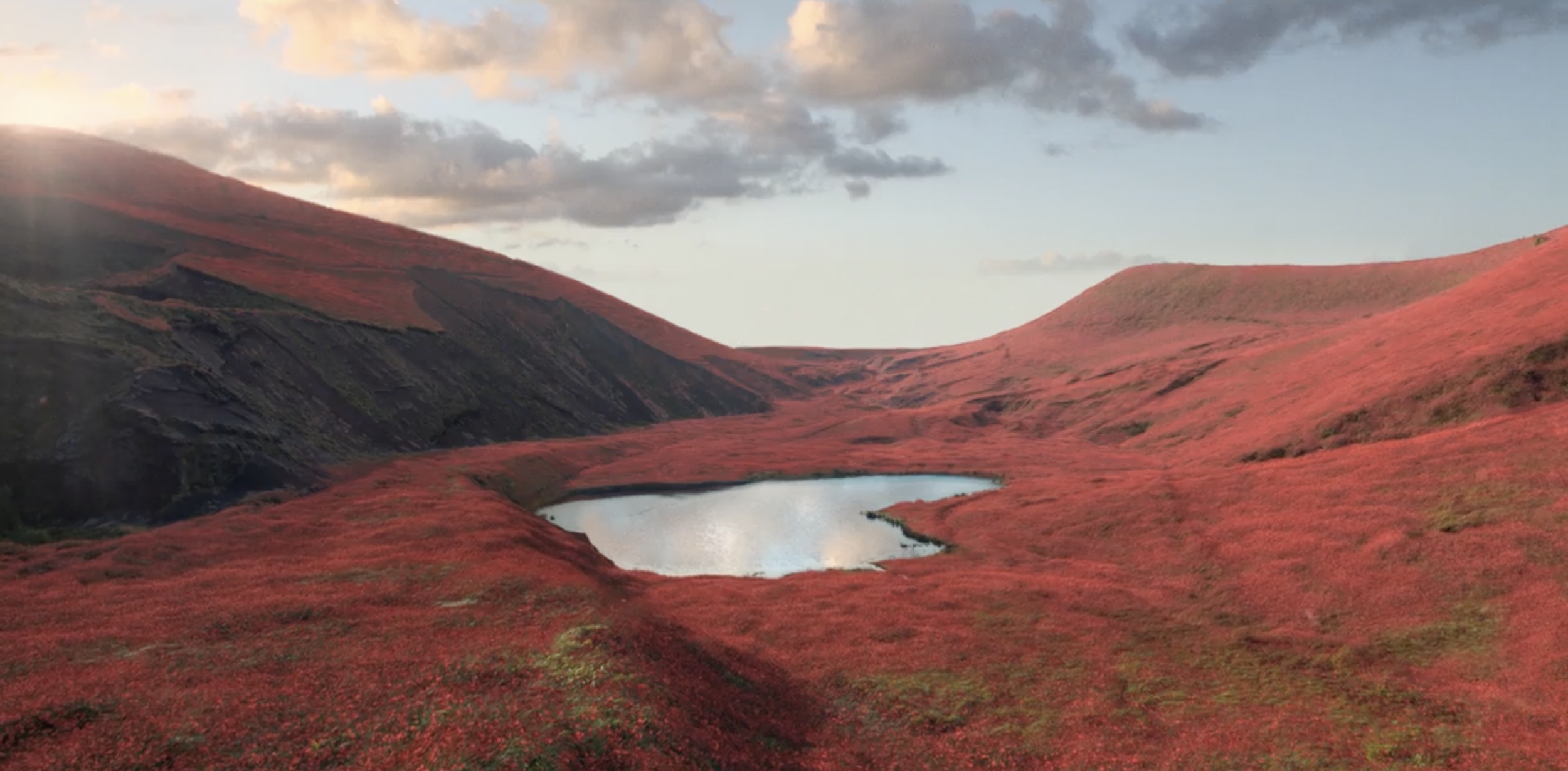 Capture d’écran 2022-08-31 à 15.19.26.png