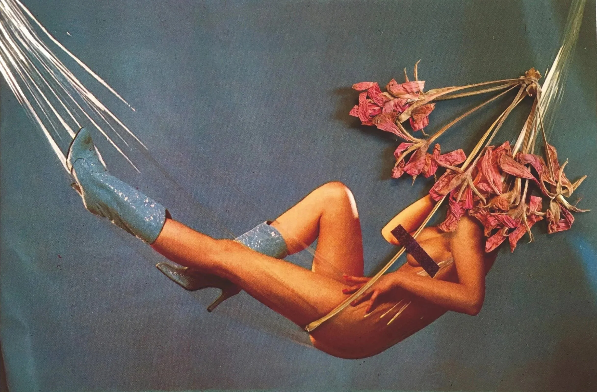 Beauty cannot be censored