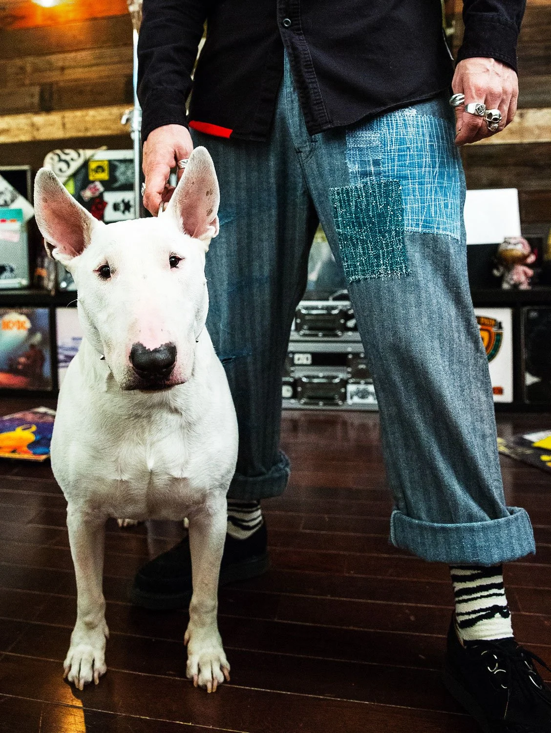 07_re_upcycling-lifestyle_bull-terrier.jpg