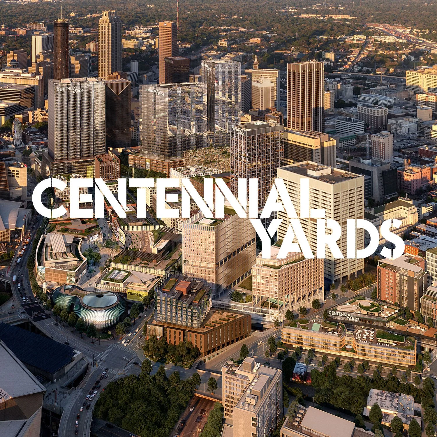 Brand identity and digital experience