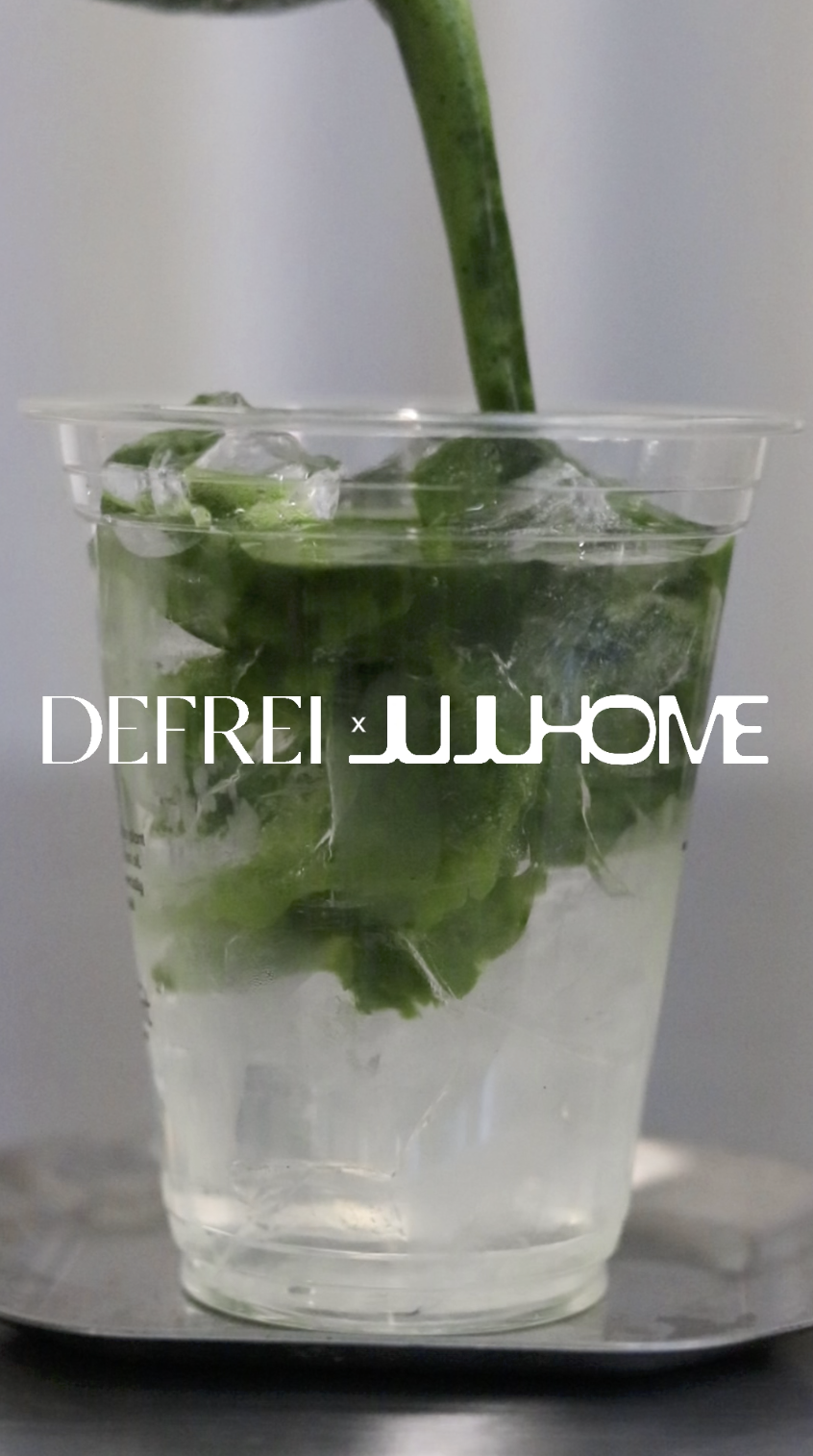 DEFREI x  JUJUHOME CHA