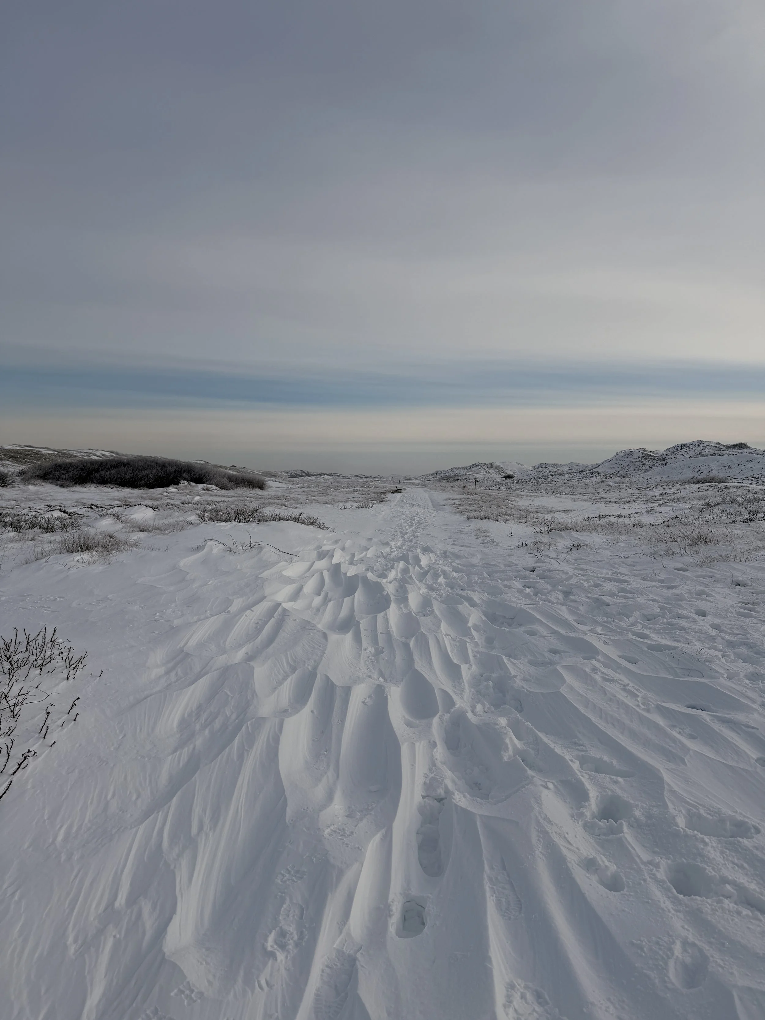 Schneebedeite Trekkingpfade in einer ruhigen, offenen Schneelandschaft mit bewölktem Himmel.