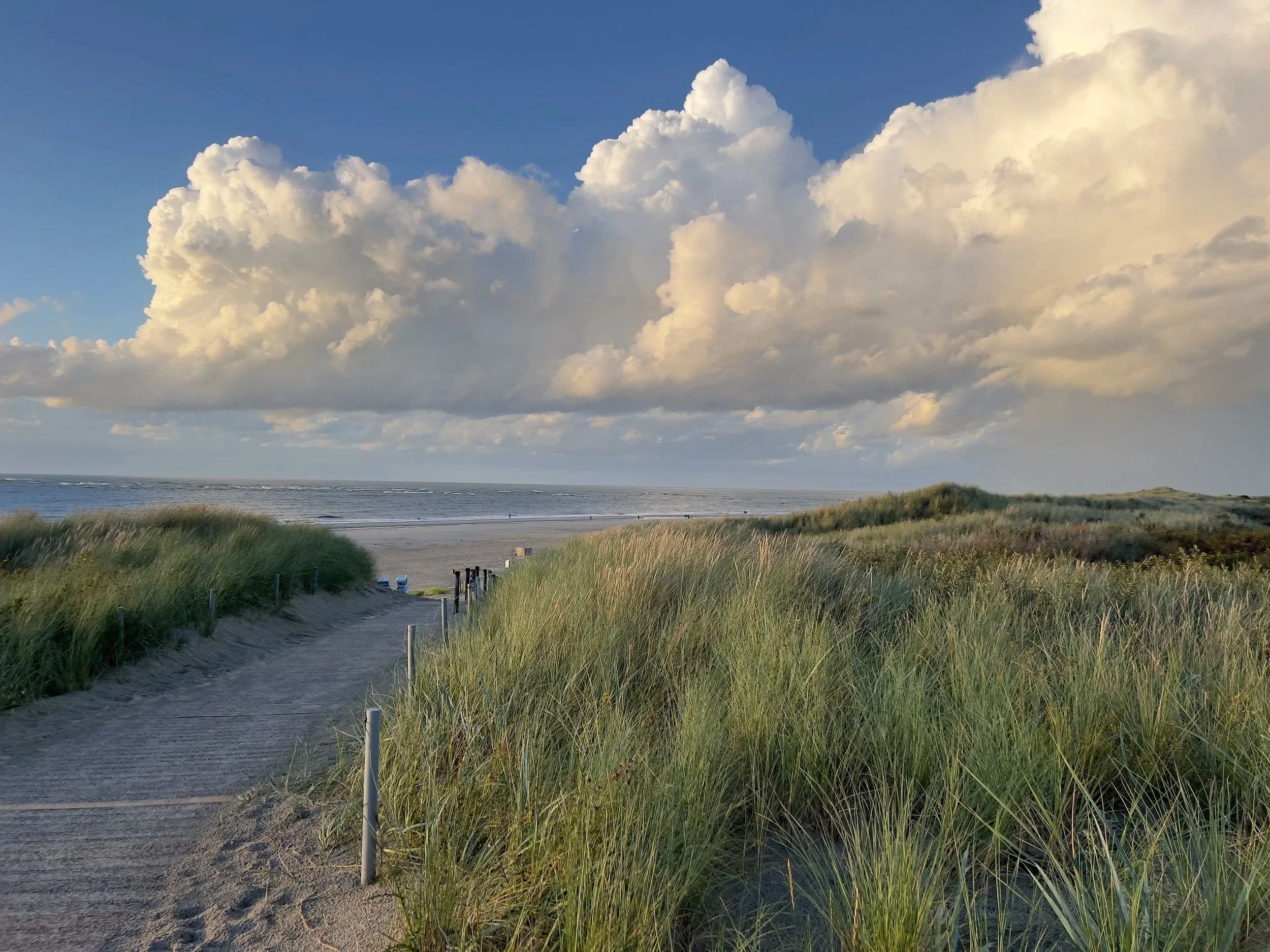 Ein Sandweg führt durch Dünen zur Küste mit Strand und Meer, unter einem Himmel mit großen, weißen Wolken.