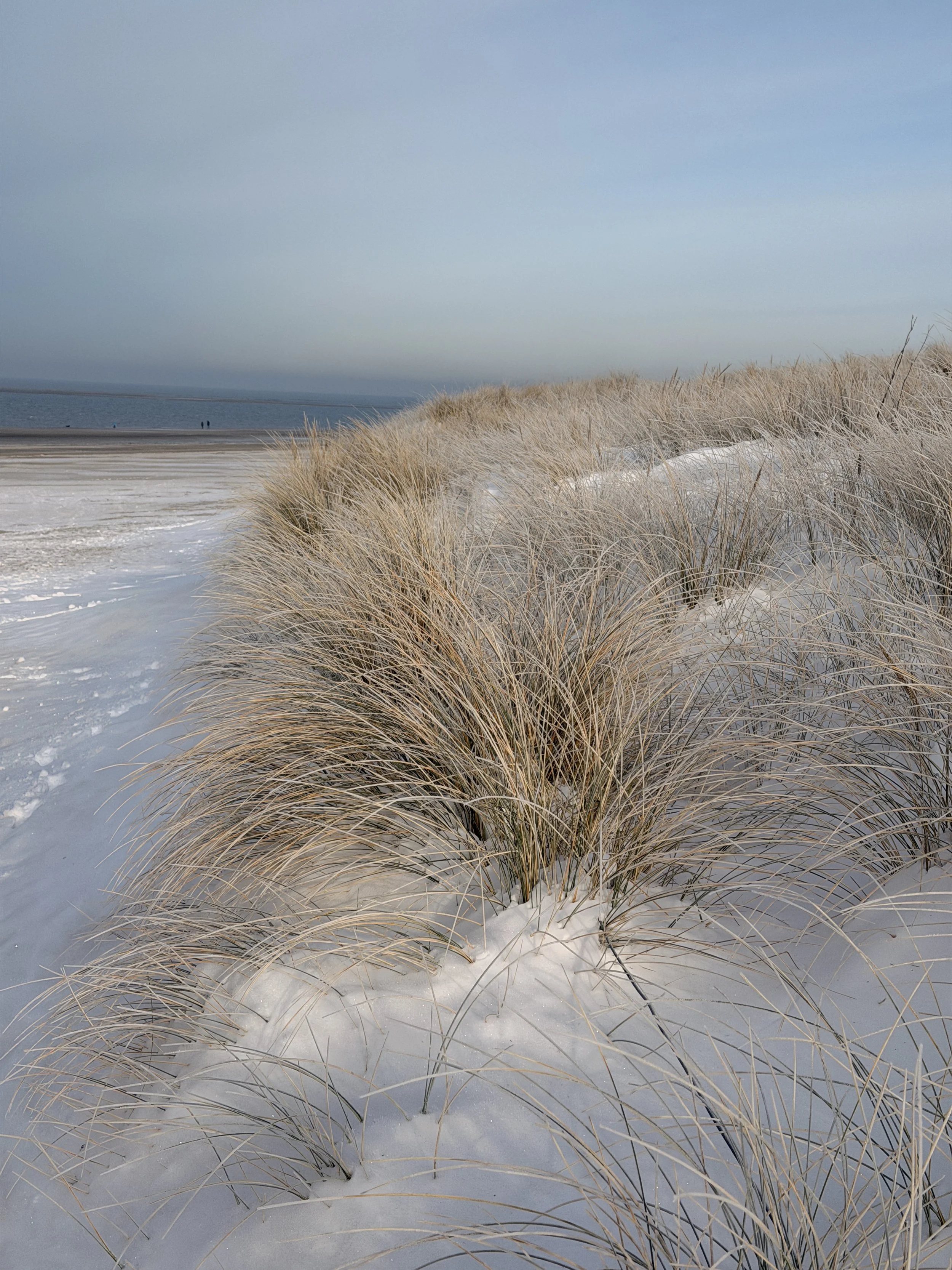 Sanddünen mit grasbedeckten Hügeln an einem verschneiten Strand, mit Meer im Hintergrund, unter einem bewölkten Himmel.