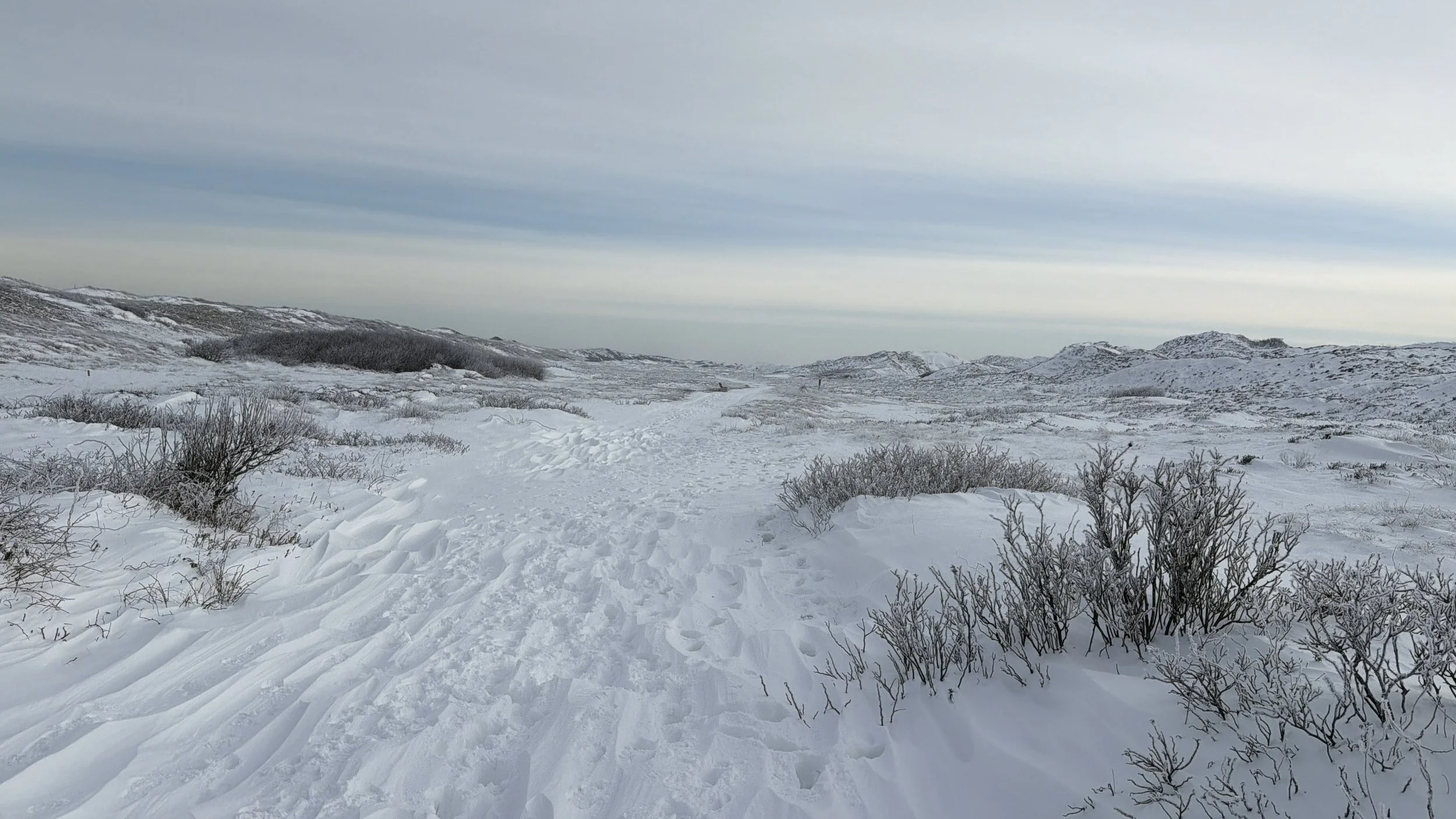 Winterliche Schneelandschaft mit Hügeln, verschneiten Büschen und einem bewölkten Himmel.