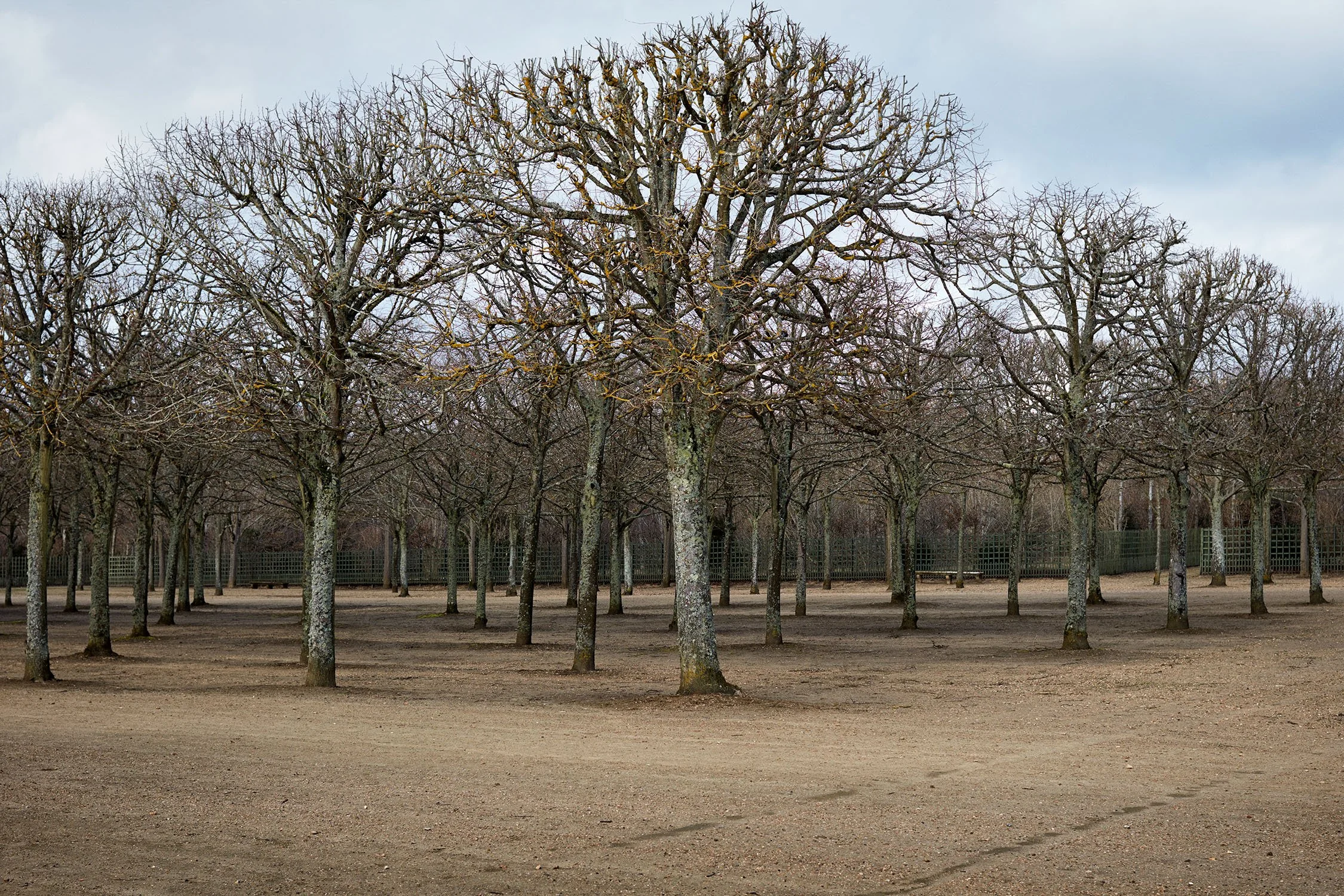 Tactical Maintenance 4924, 2017