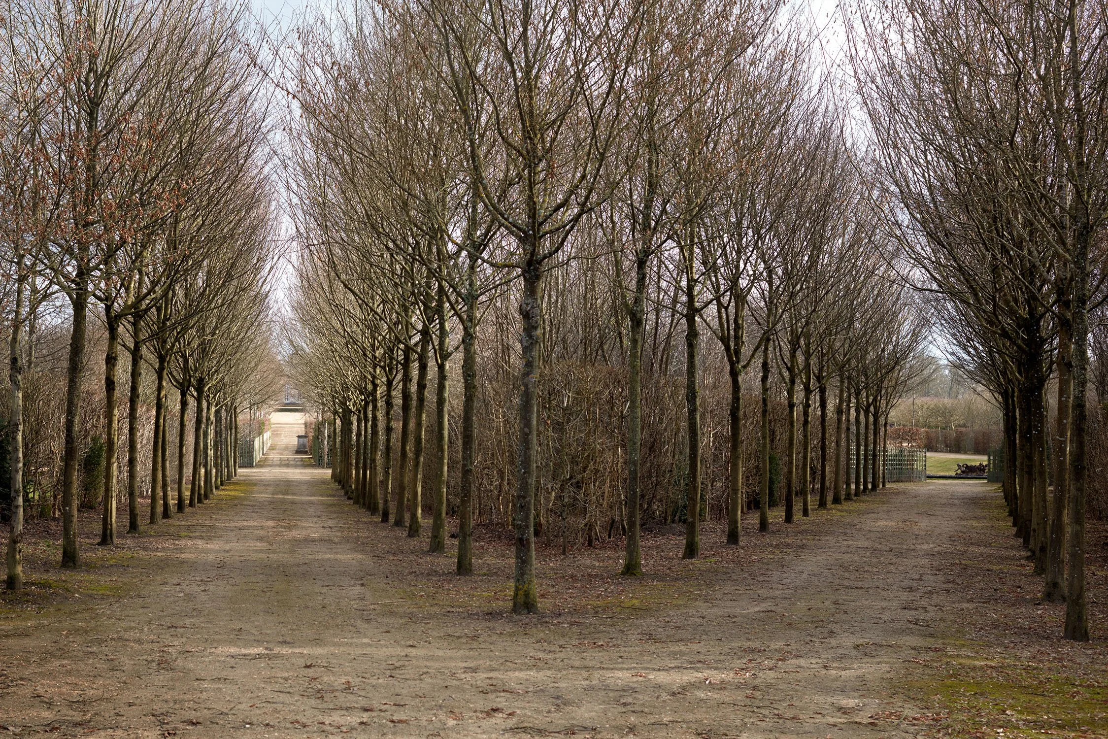 Tactical Maintenance 4924, 2017