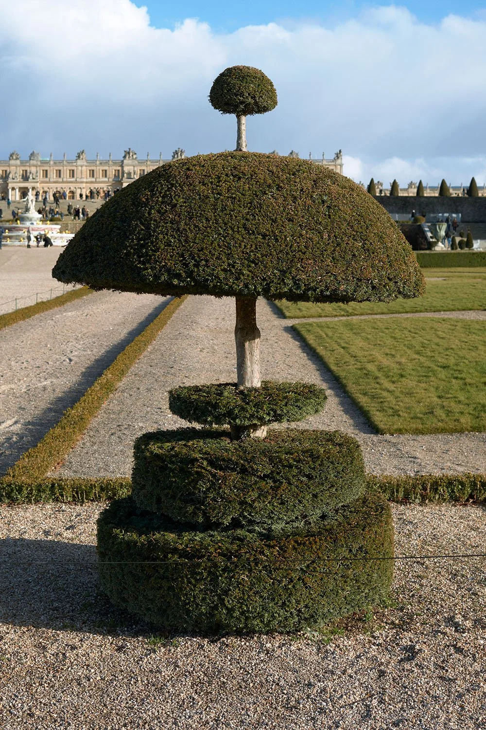 Tactical Maintenance 5054, 2017