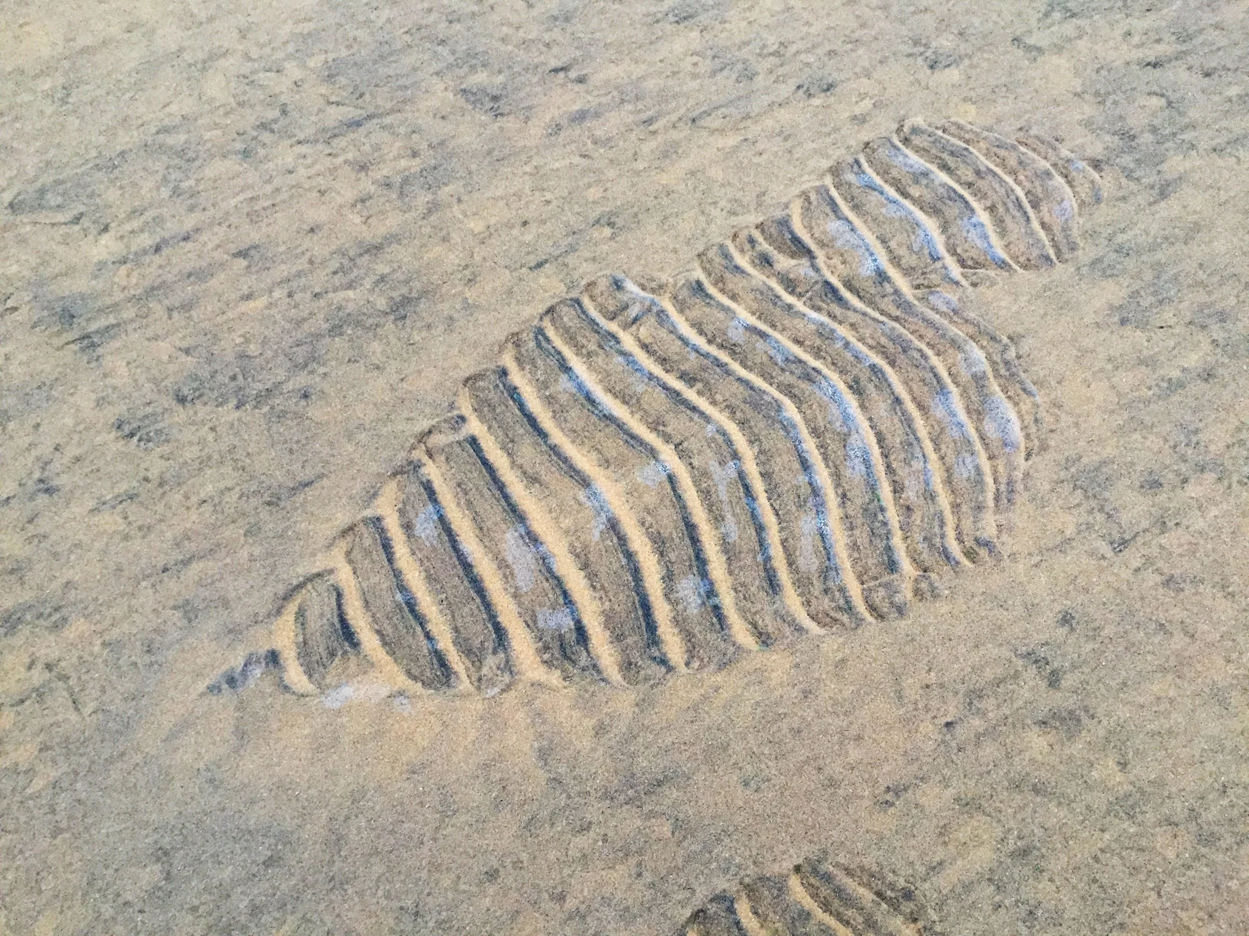 Conversion 885, 2018