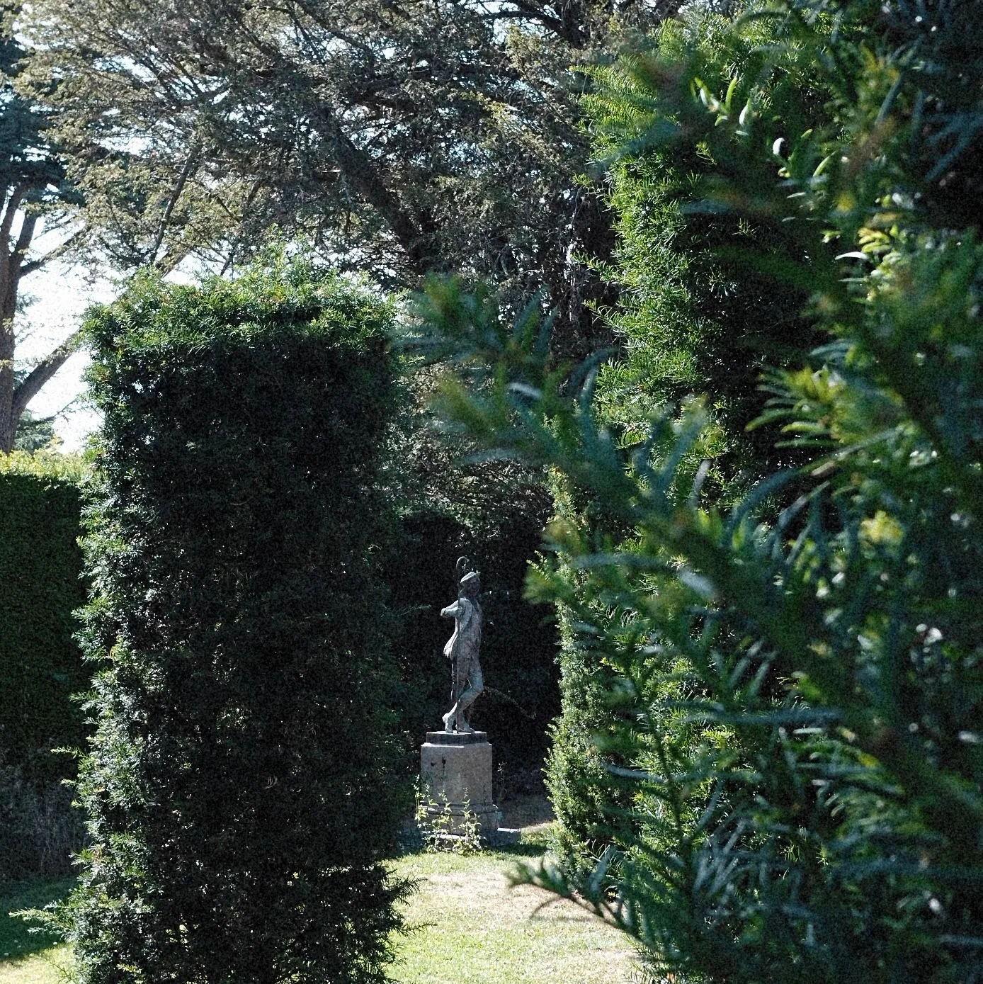 A garden scene with a statue of a person standing among green bushes and trees, with sunlight filtering through and casting shadows.