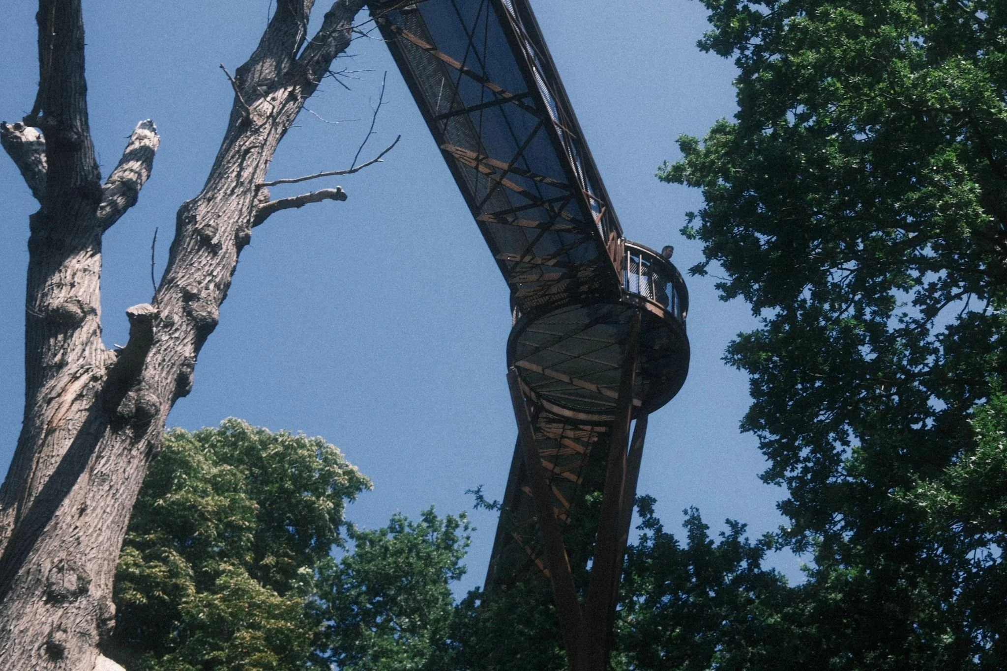 A tall observation tower with a winding staircase, surrounded by green trees and a clear blue sky.