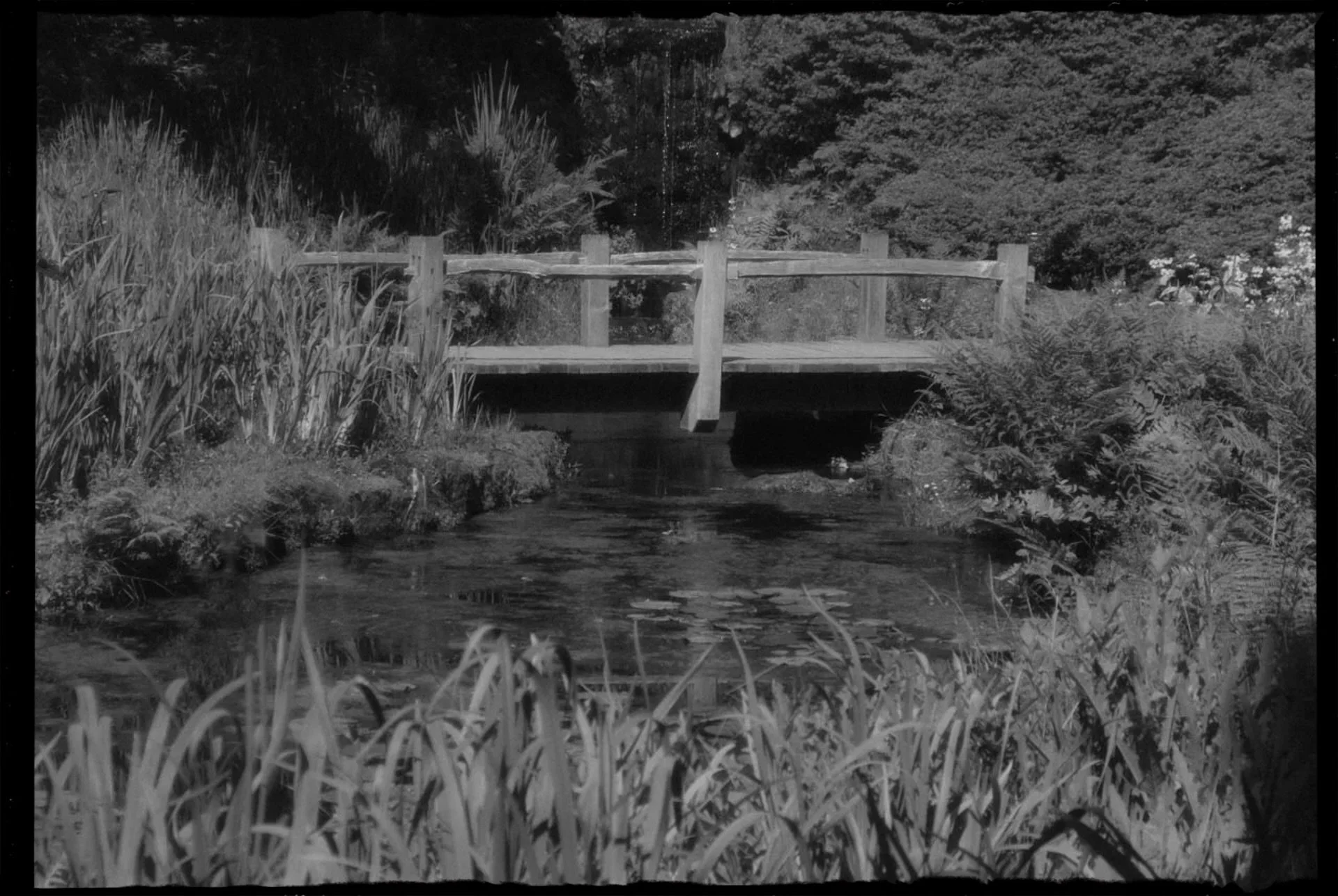 545E0B36-DEAA-48C2-AA08-05440B0A5797.jpeg