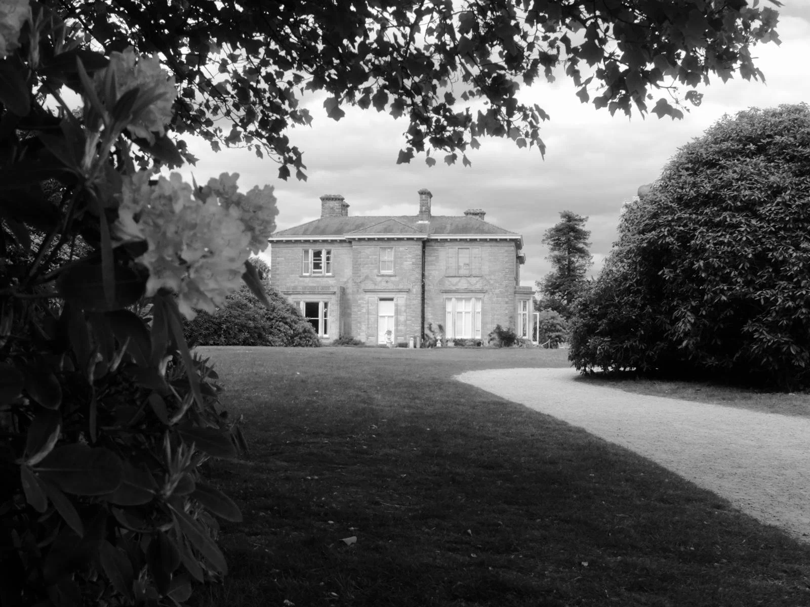 A large historic stone mansion with multiple chimneys, surrounded by lush trees and shrubs, with a gravel pathway leading to it, seen through overhanging tree branches in black and white.