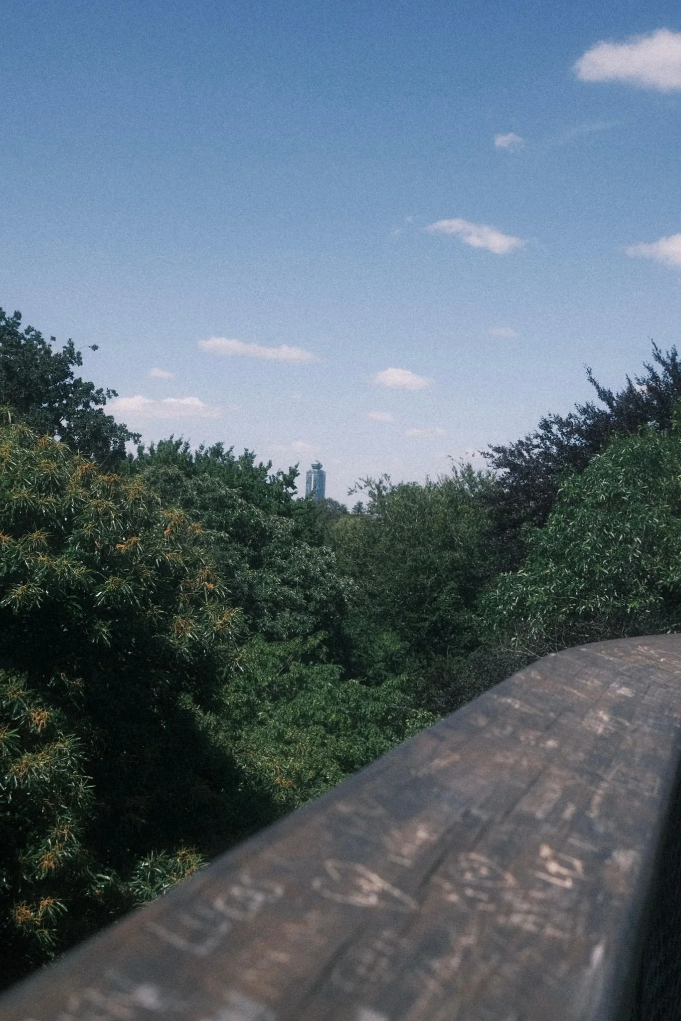 View of a city skyline with a tall building visible in the distance, surrounded by lush green trees and a partly cloudy blue sky.