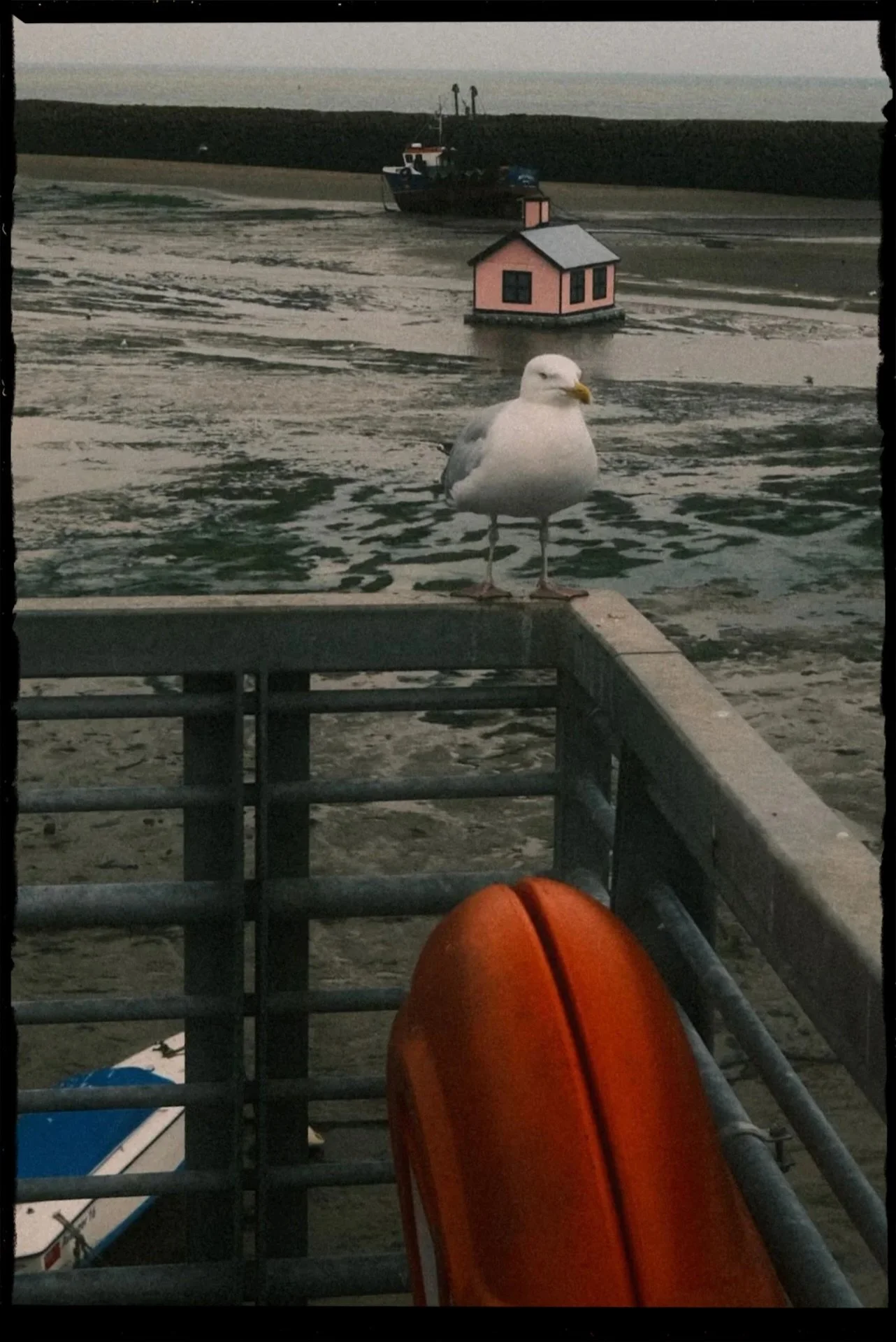 03D1A018-851E-4BAA-87BD-0E50895A5F55.jpeg