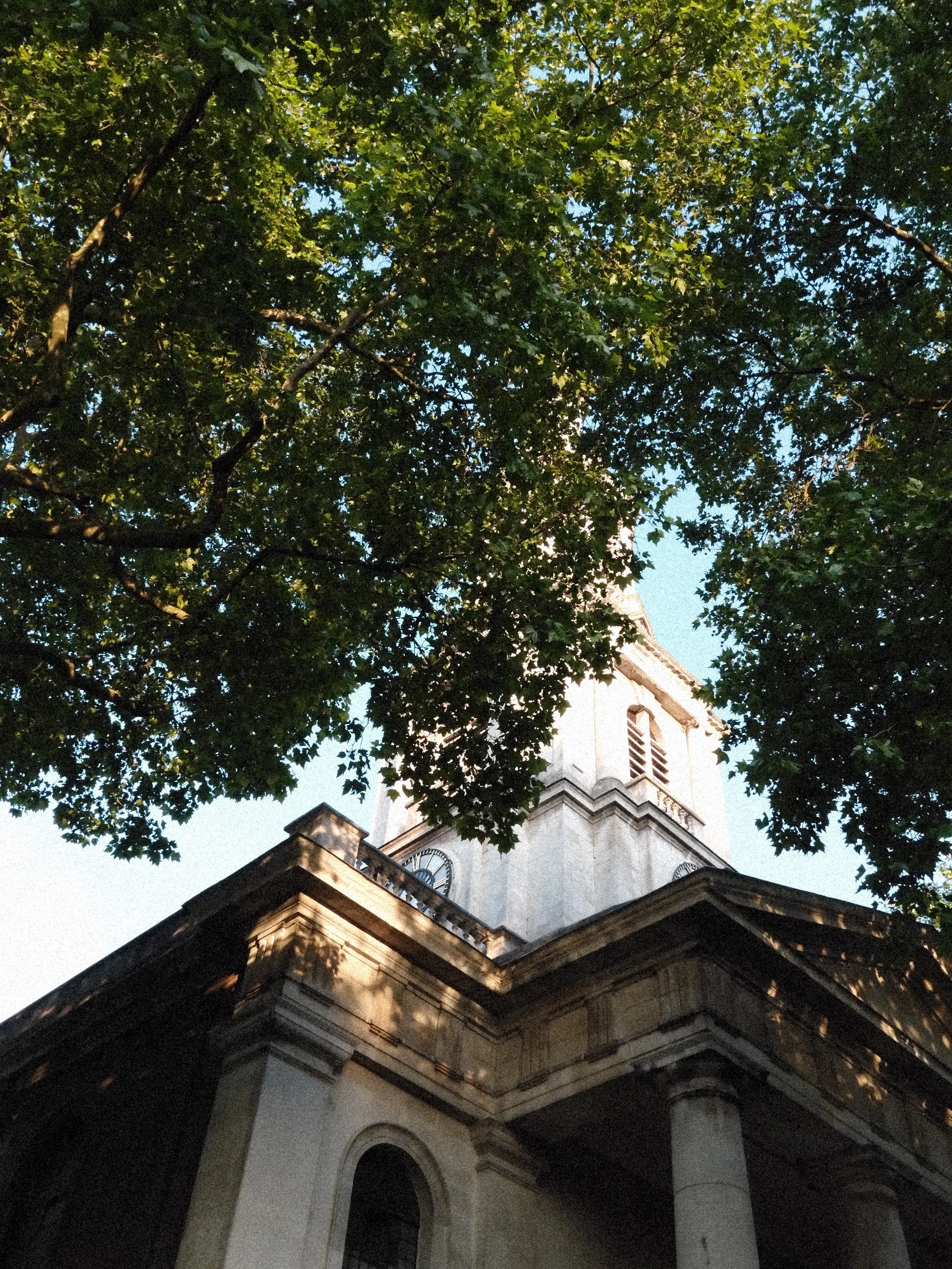 A historic building with columns and arched windows, partially obscured by leafy trees, with a clock on the tower, under a blue sky.