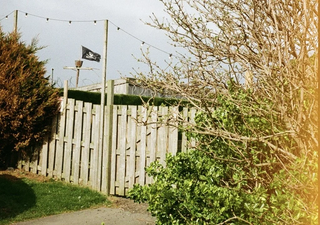 A backyard scene with a wooden fence, a cloudy sky, some green bushes, and string lights hanging overhead. There is a flag with a skull and crossbones design in the background.